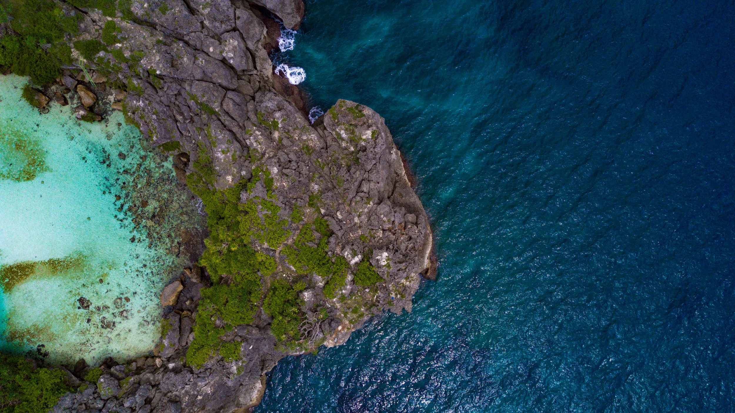 RS1842_DJI_0013.jpg