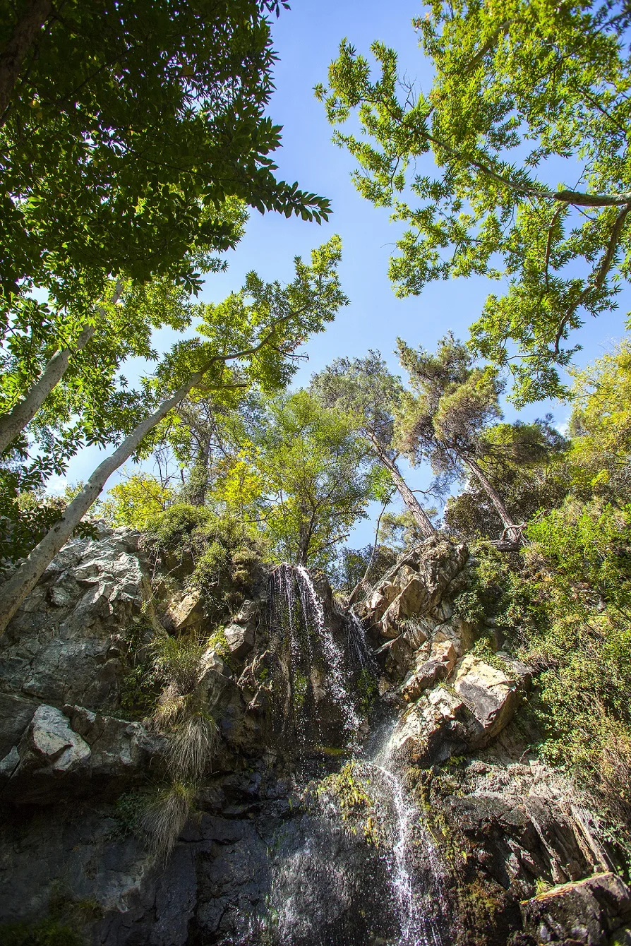 3. CTO - Kaleidonia waterfall.jpg
