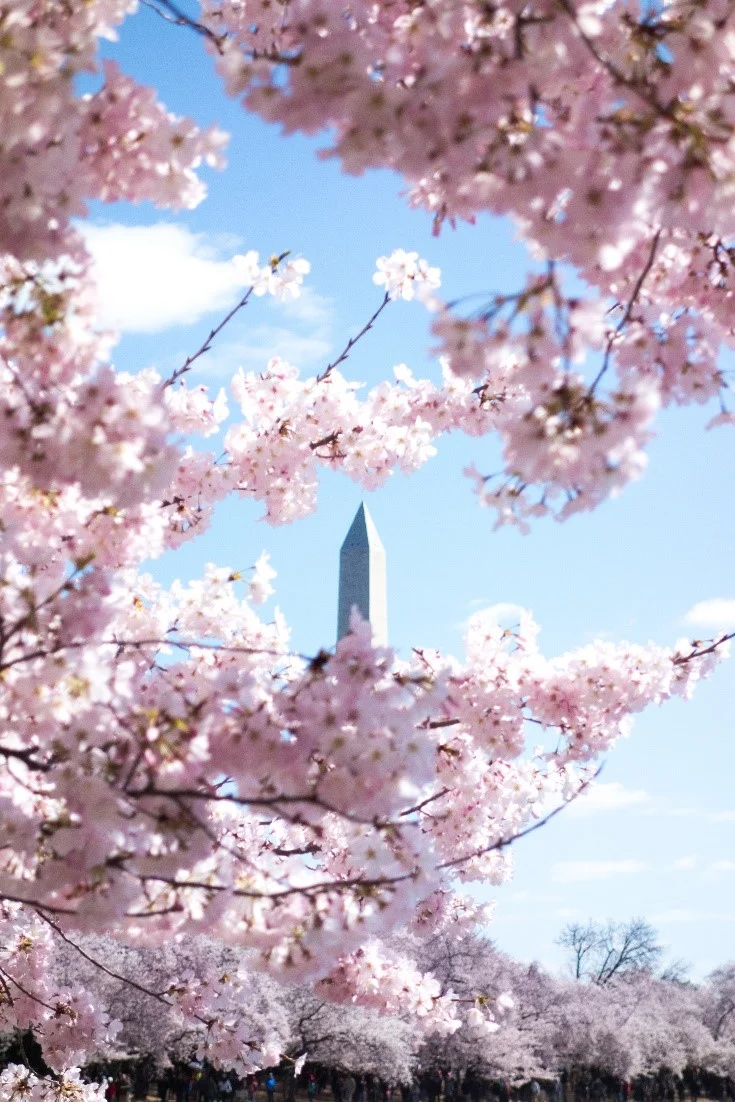 Washington D.C., America.jpg