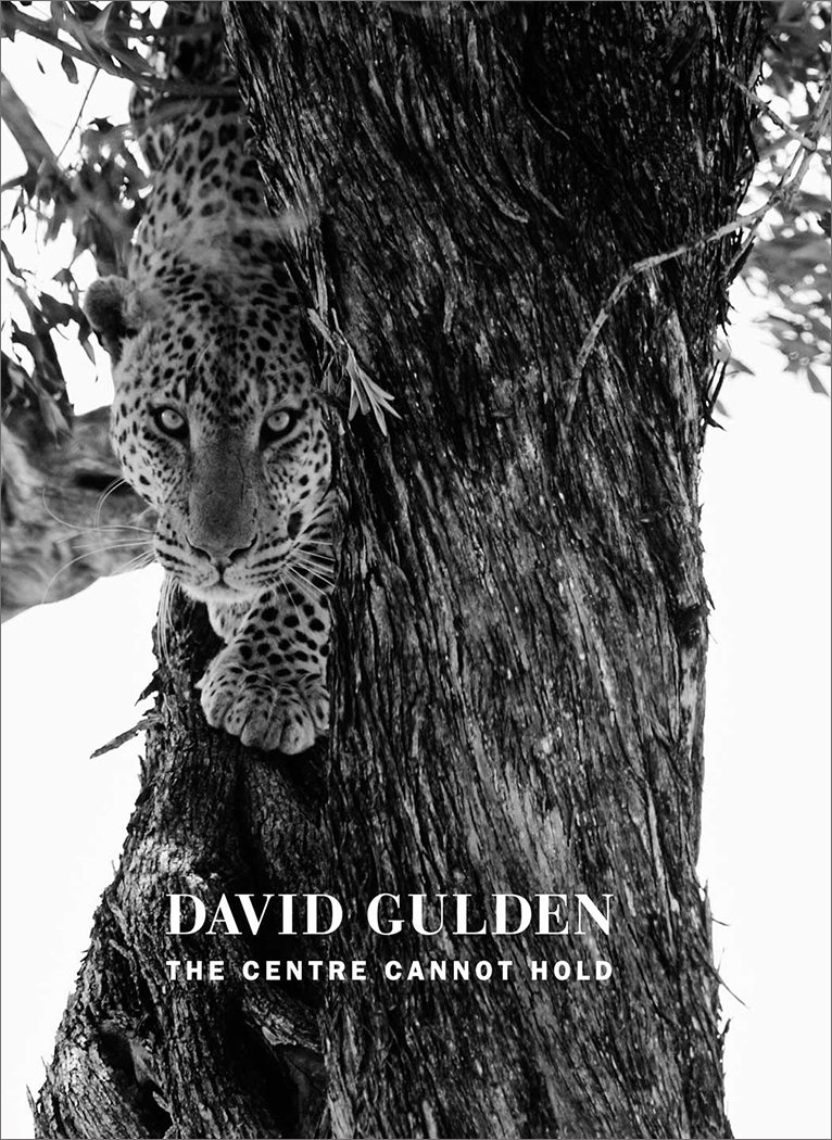 David Gulden