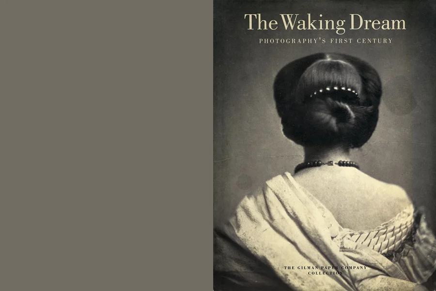 book_13_wakingDream.jpg