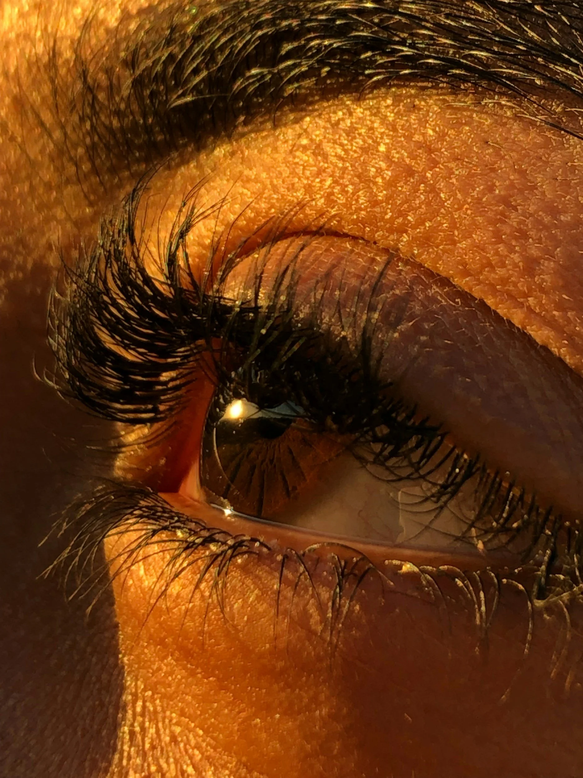 Close-up of a full, dense mega volume lash extension set in Oakville