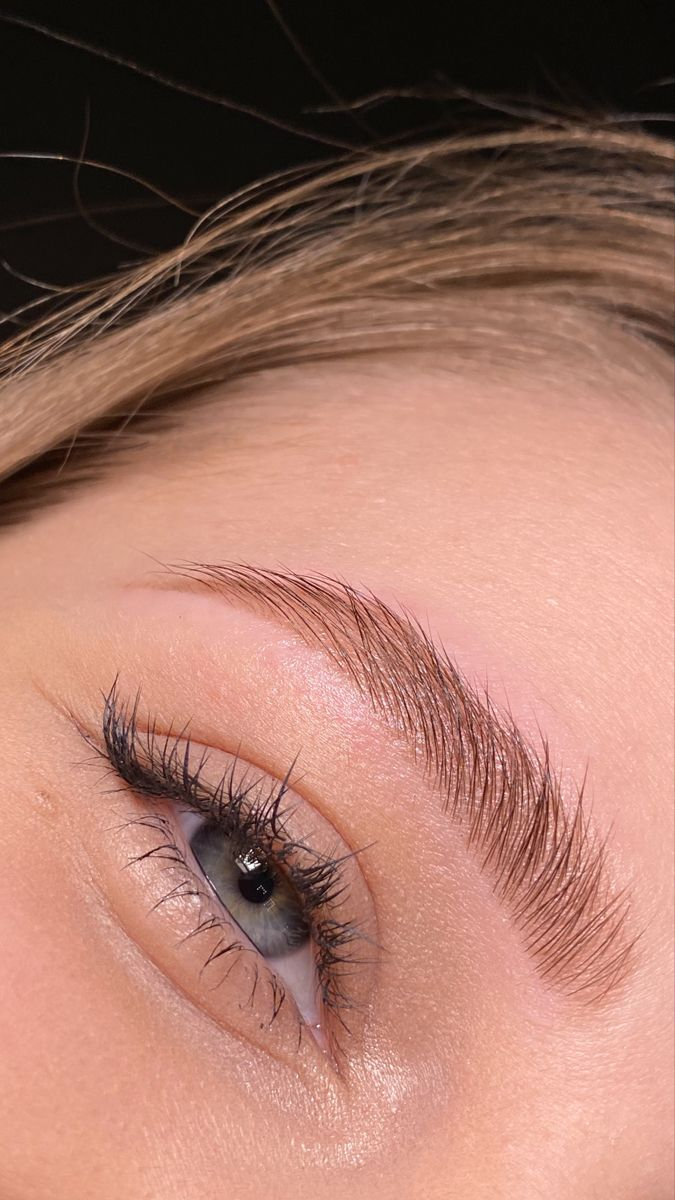 Airy Brow Laminations