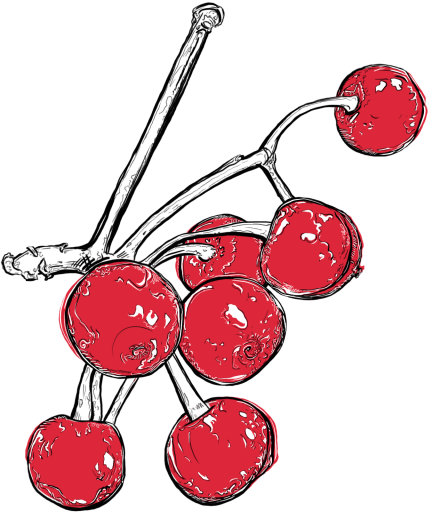 Untitled 2.png
