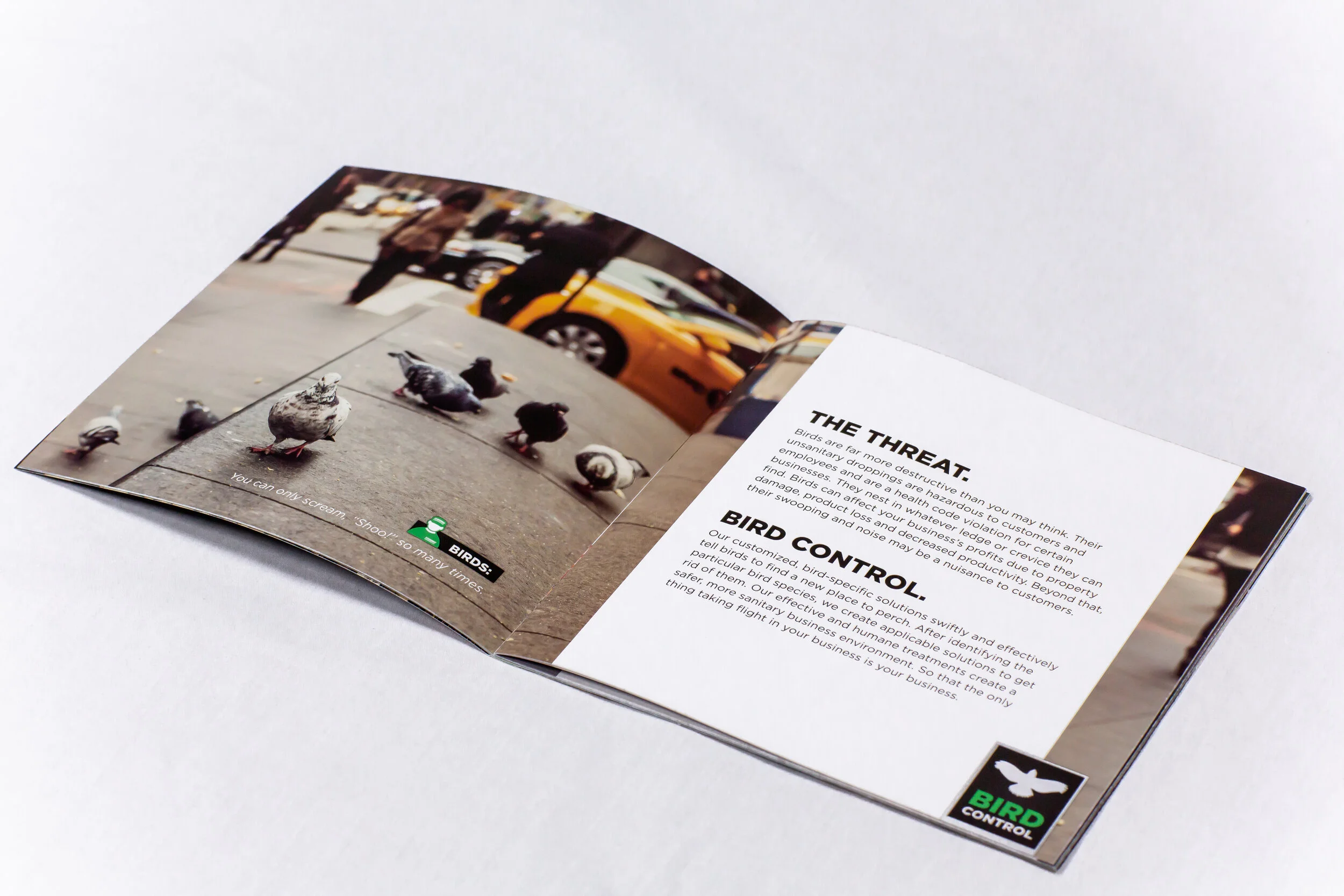 TMXC_NYC_Pest_Brochure_2.jpg