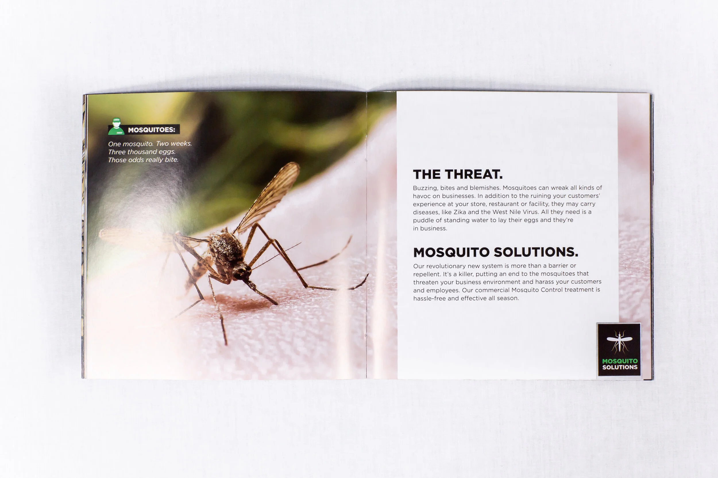 TMXC_NYC_Pest_Brochure_3.jpg