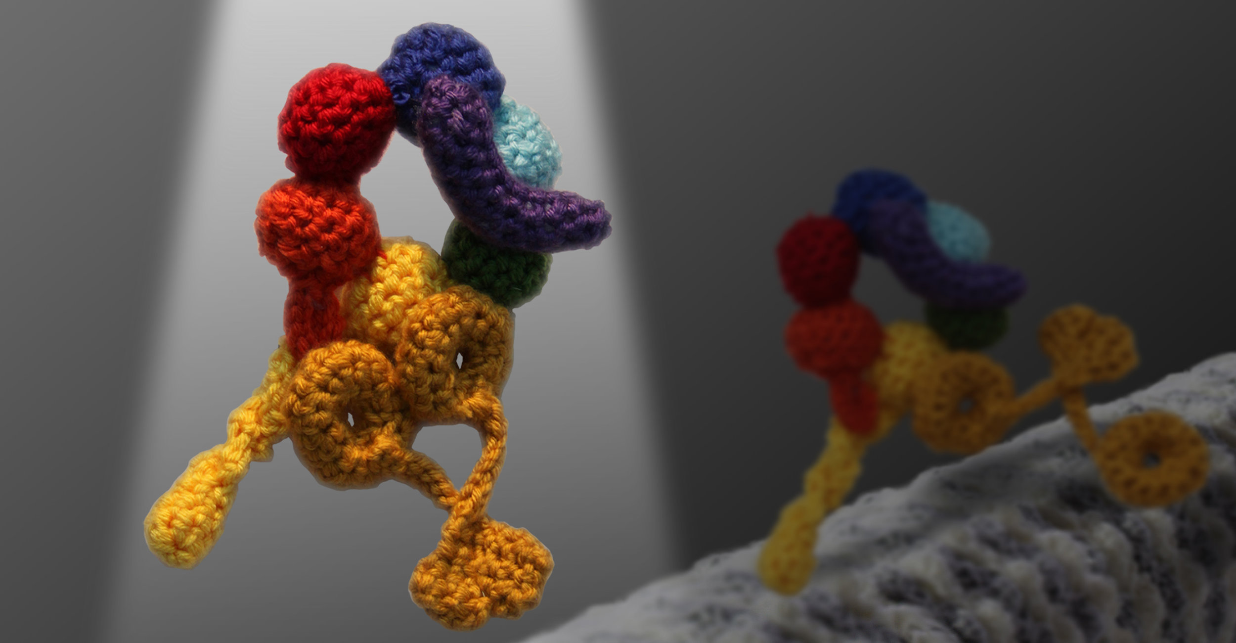 Crochet dynein-crop.jpg