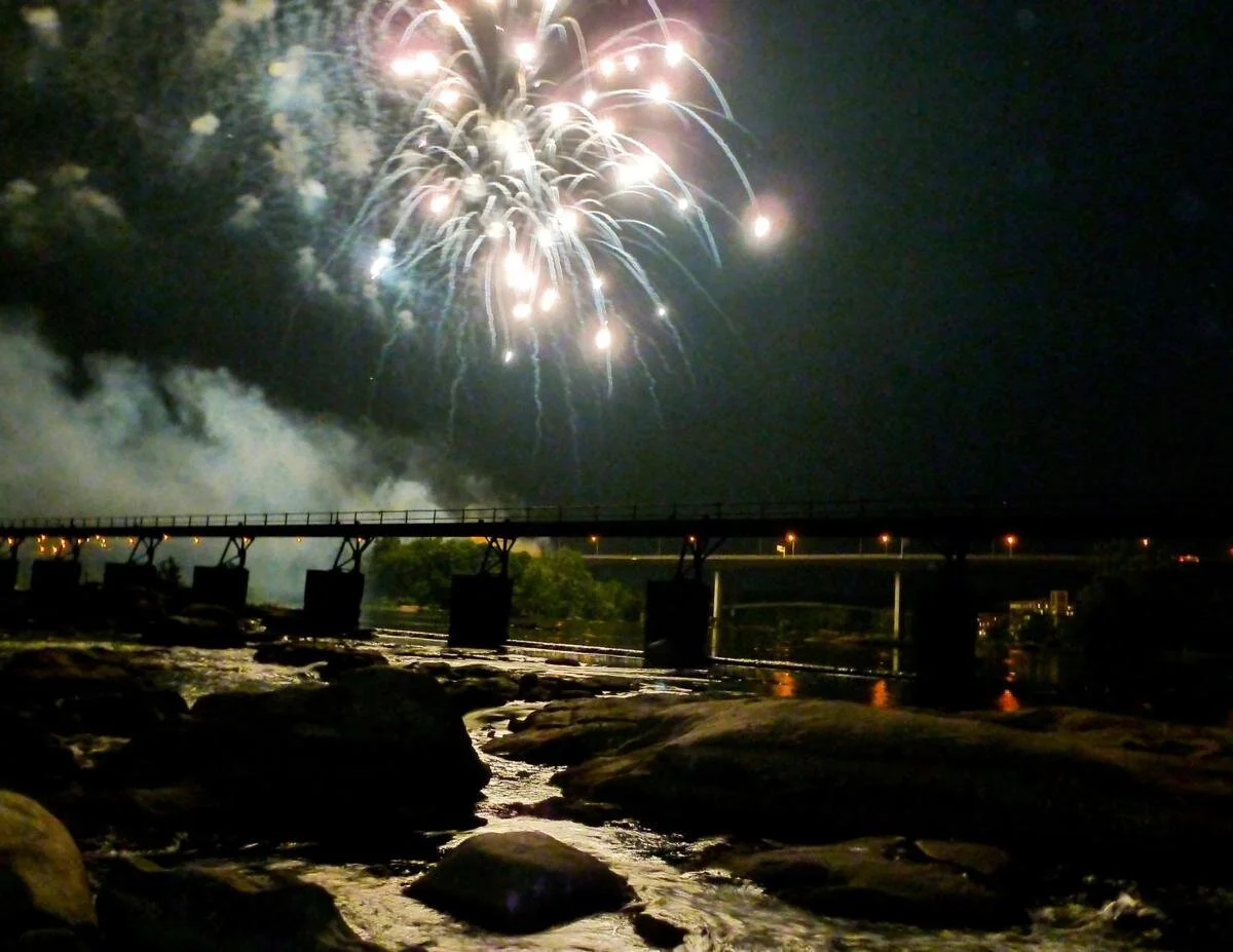 Williams: 'If you love the Declaration of Independence, you have to thank Black people.' They helped shape that moment.