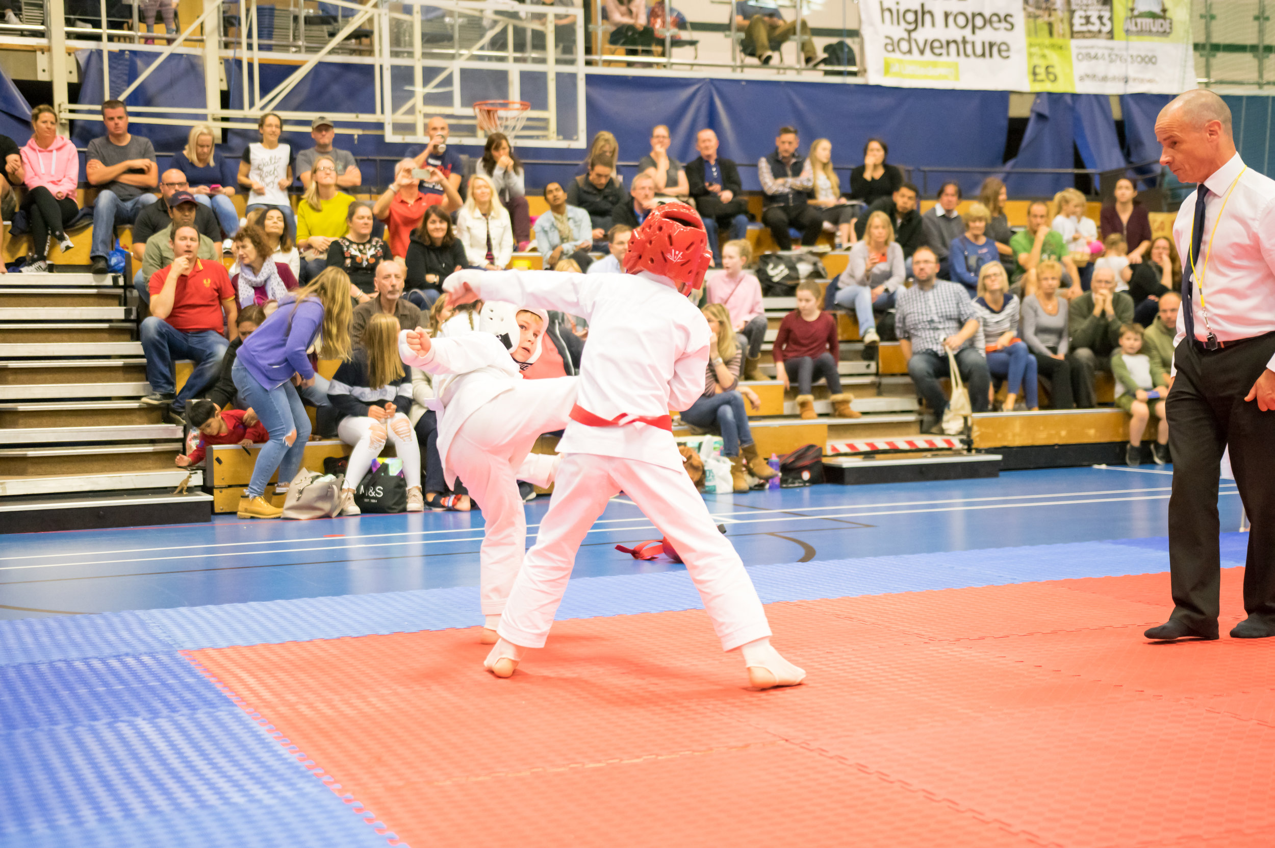 _IMG9104.jpg