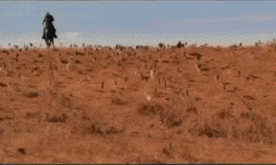 Starring you, the rancher, and your coworker’s final slides, the cats.