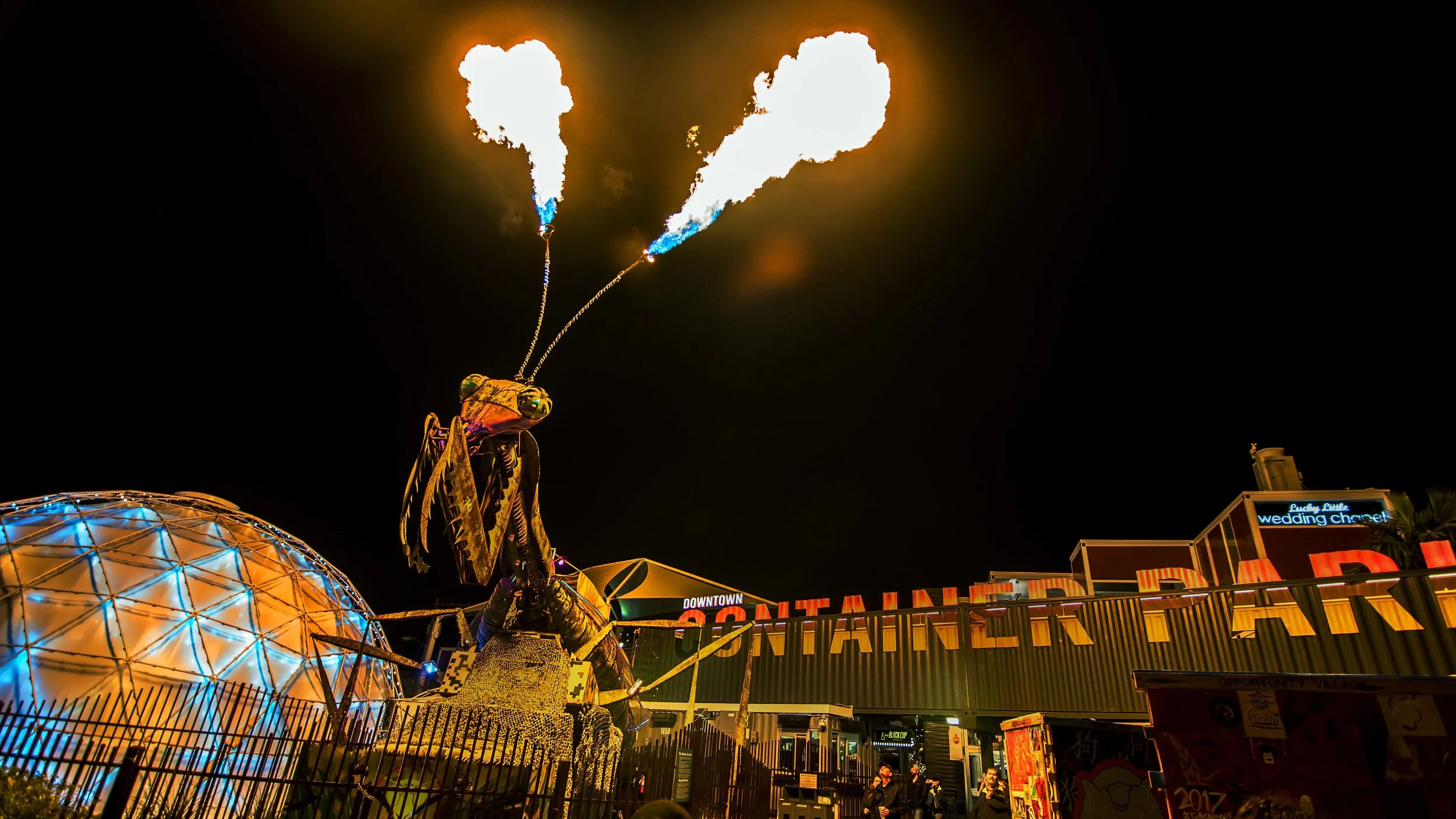 firebug (1 of 1).jpg