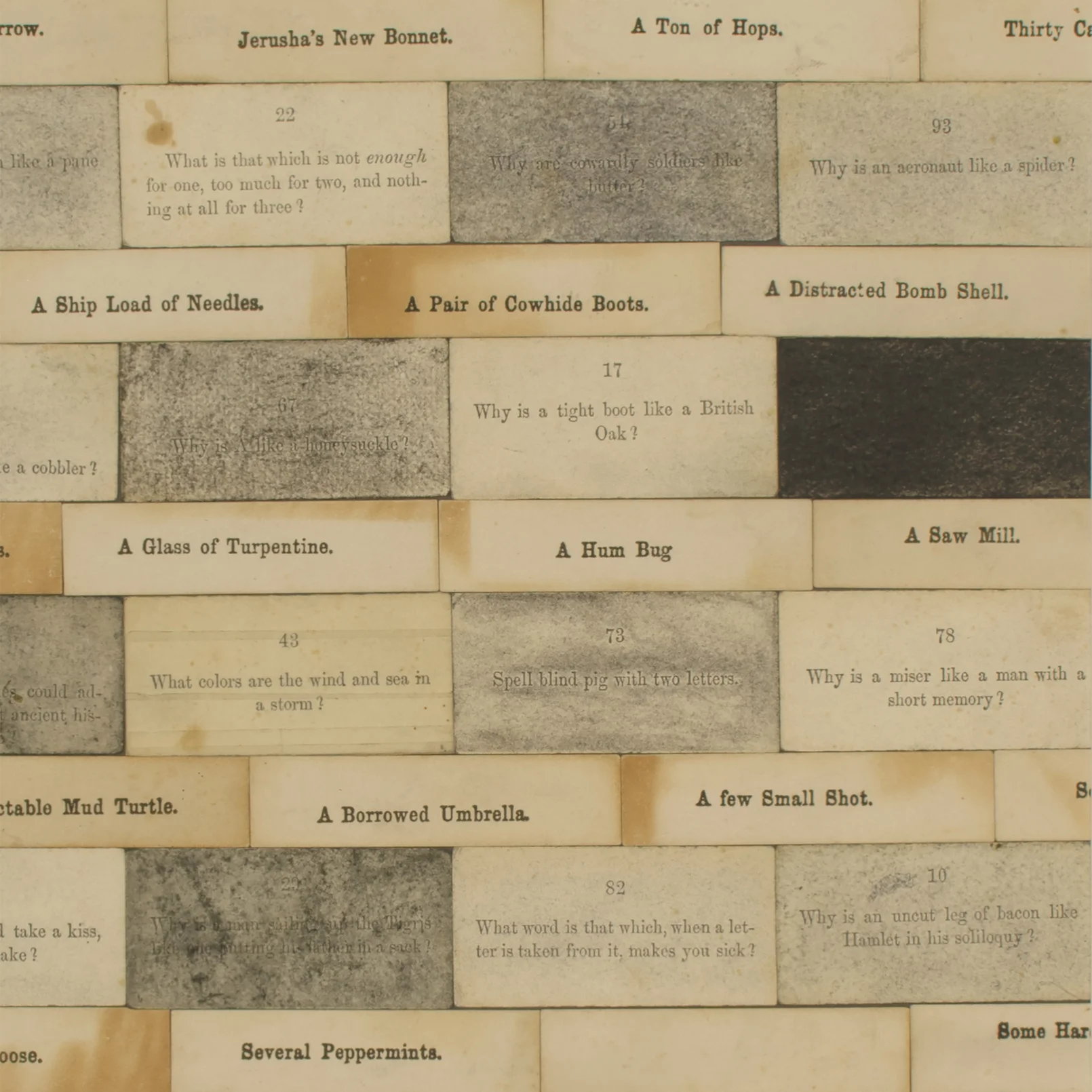 Harlan -  Spiderette