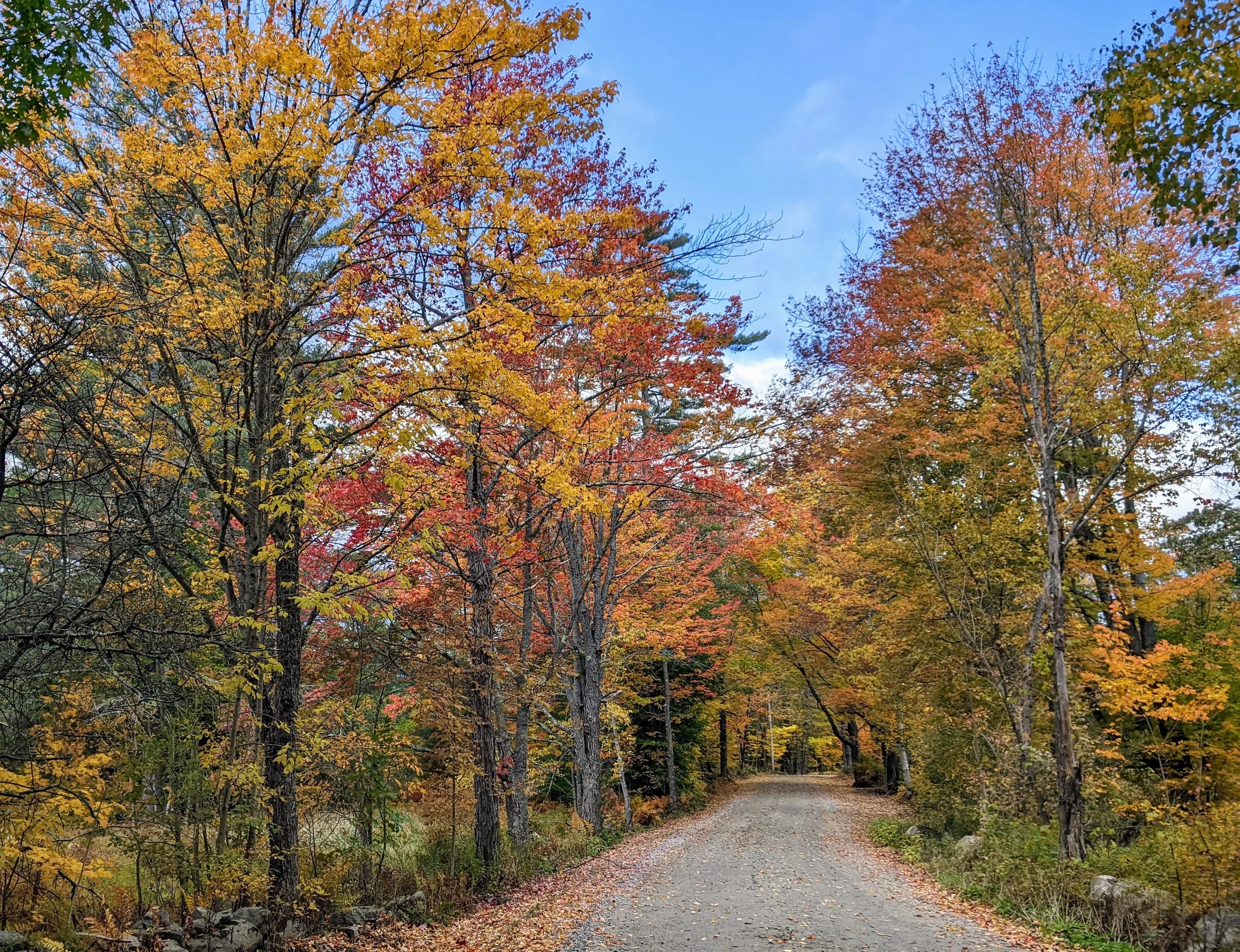 Town of Cavendish, Vermont Municipal site of Cavendish, VT