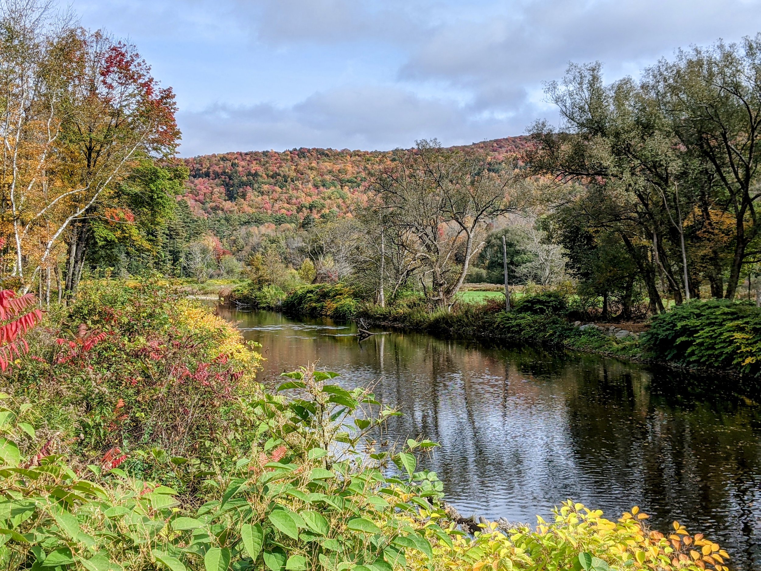 Town Ordinances/Policies — Town of Cavendish, Vermont