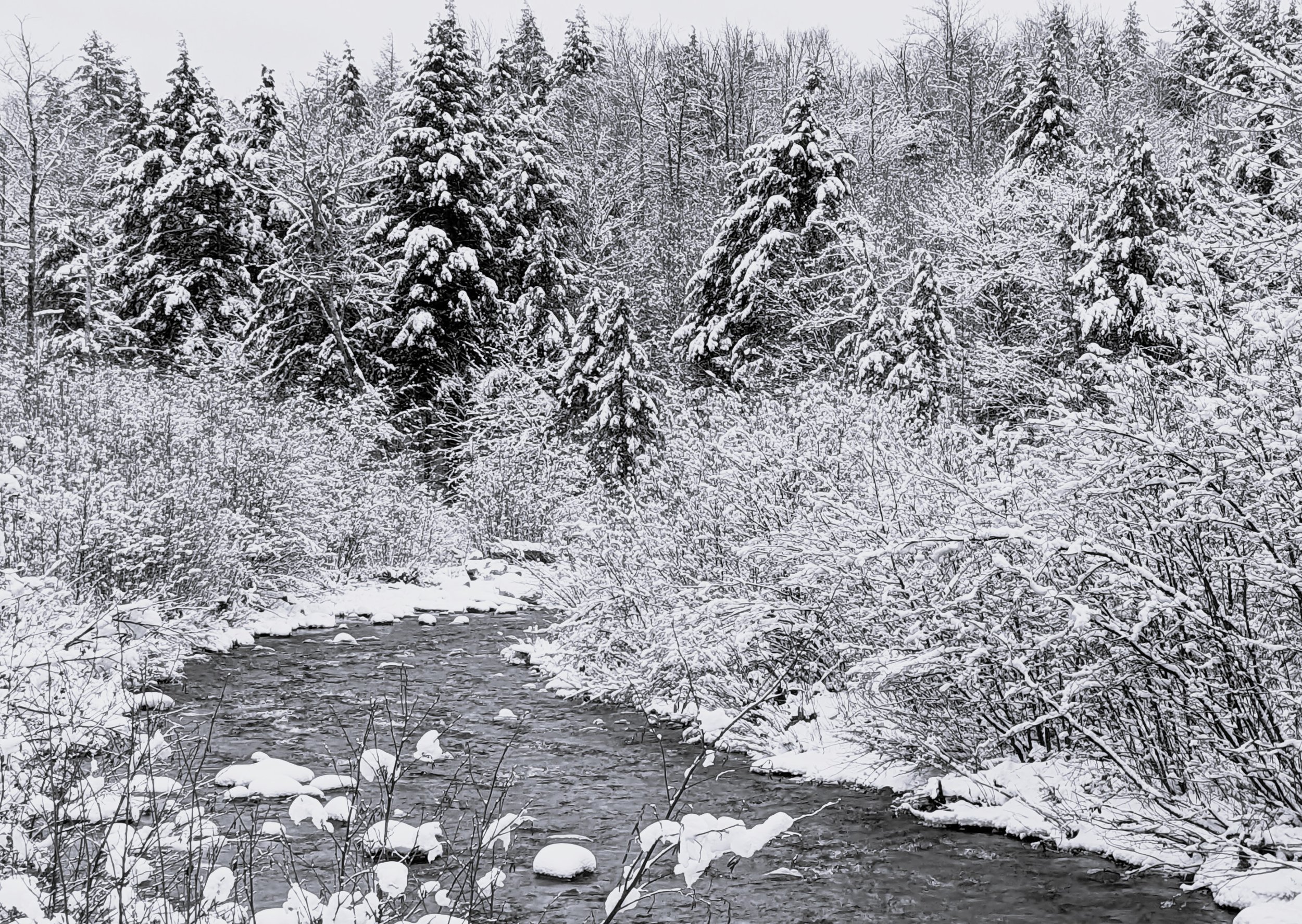 winter stream.jpg