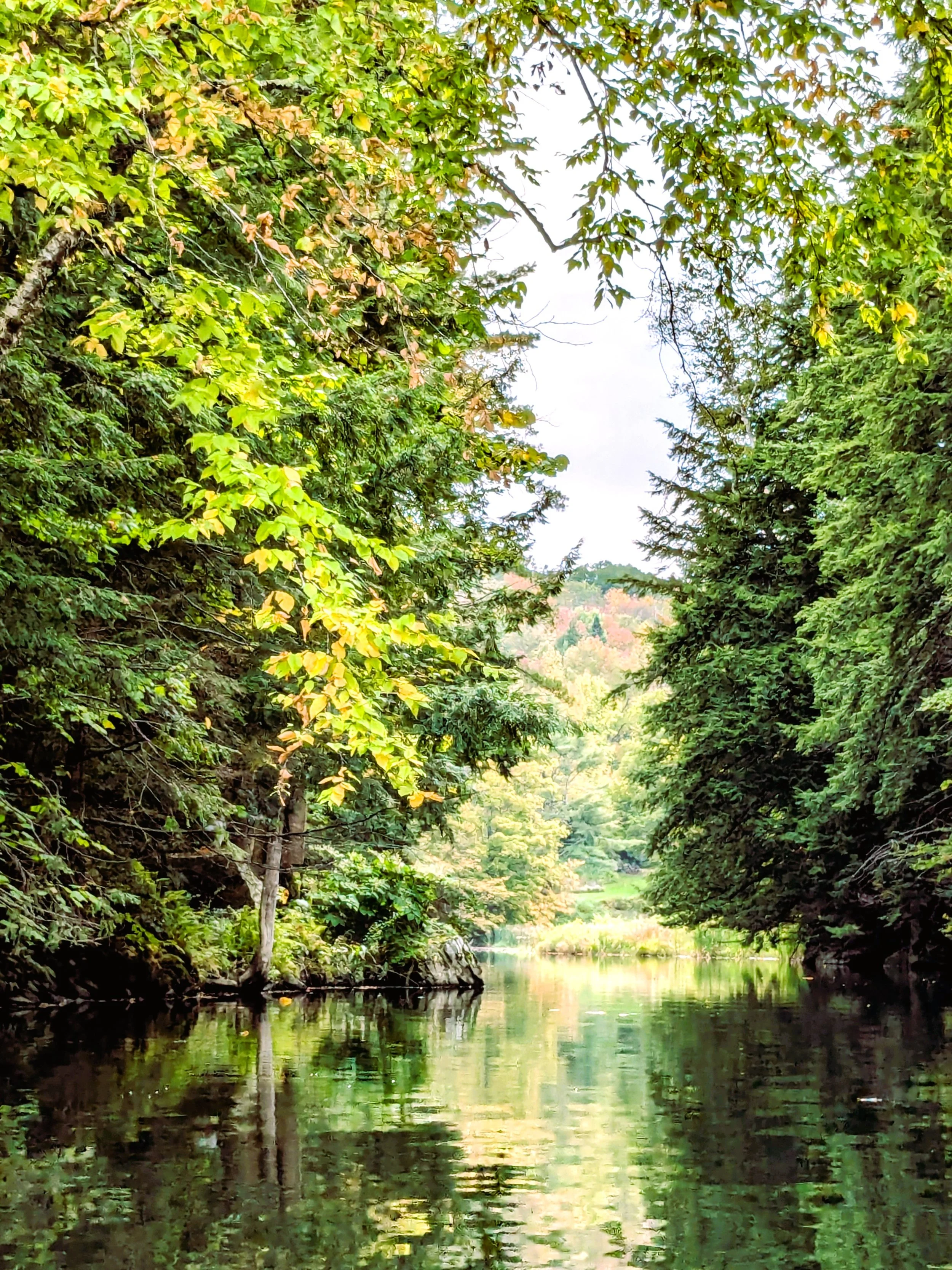 Town of Cavendish, Vermont | Municipal Website of Cavendish, VT
