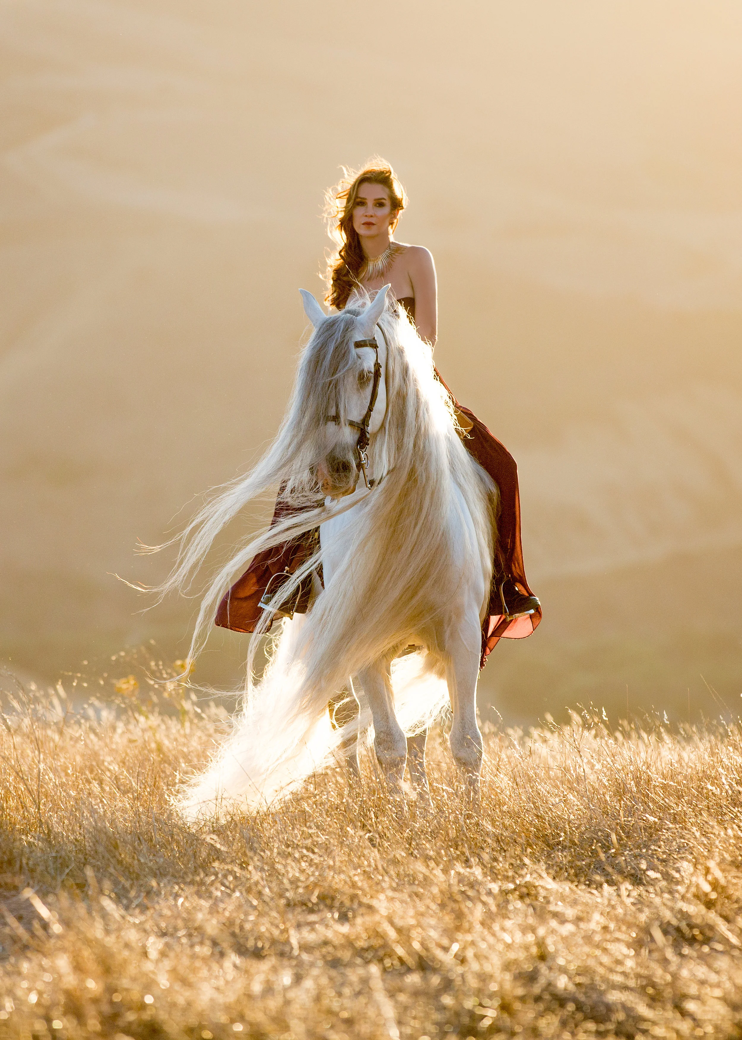 WebsiteImages_Lauren Maeve_19.jpg