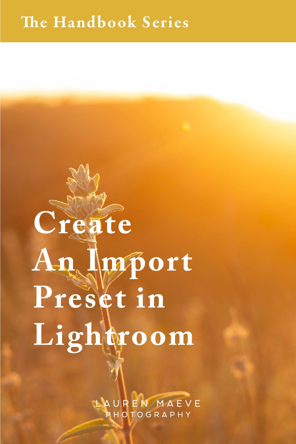 lmp-lr-preset.png