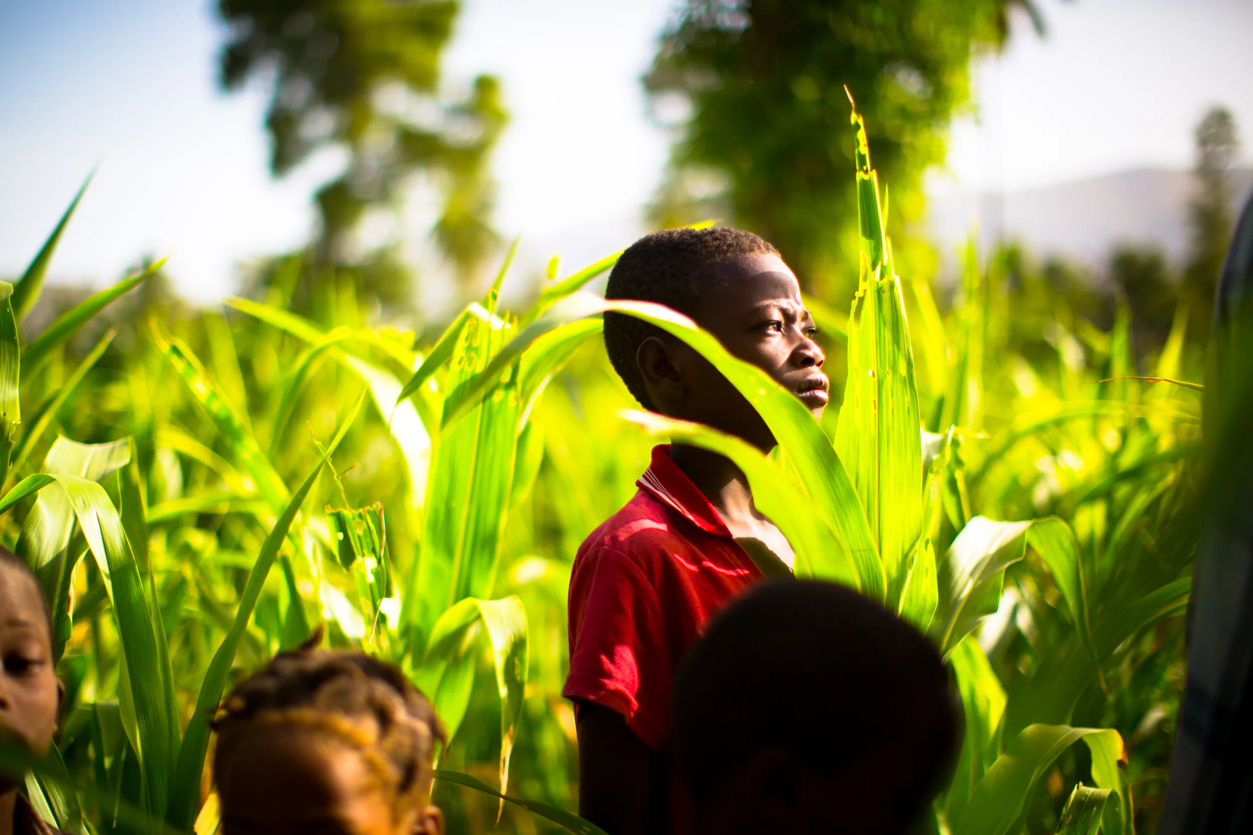 6AFCORTES_HAITI-0376.jpg