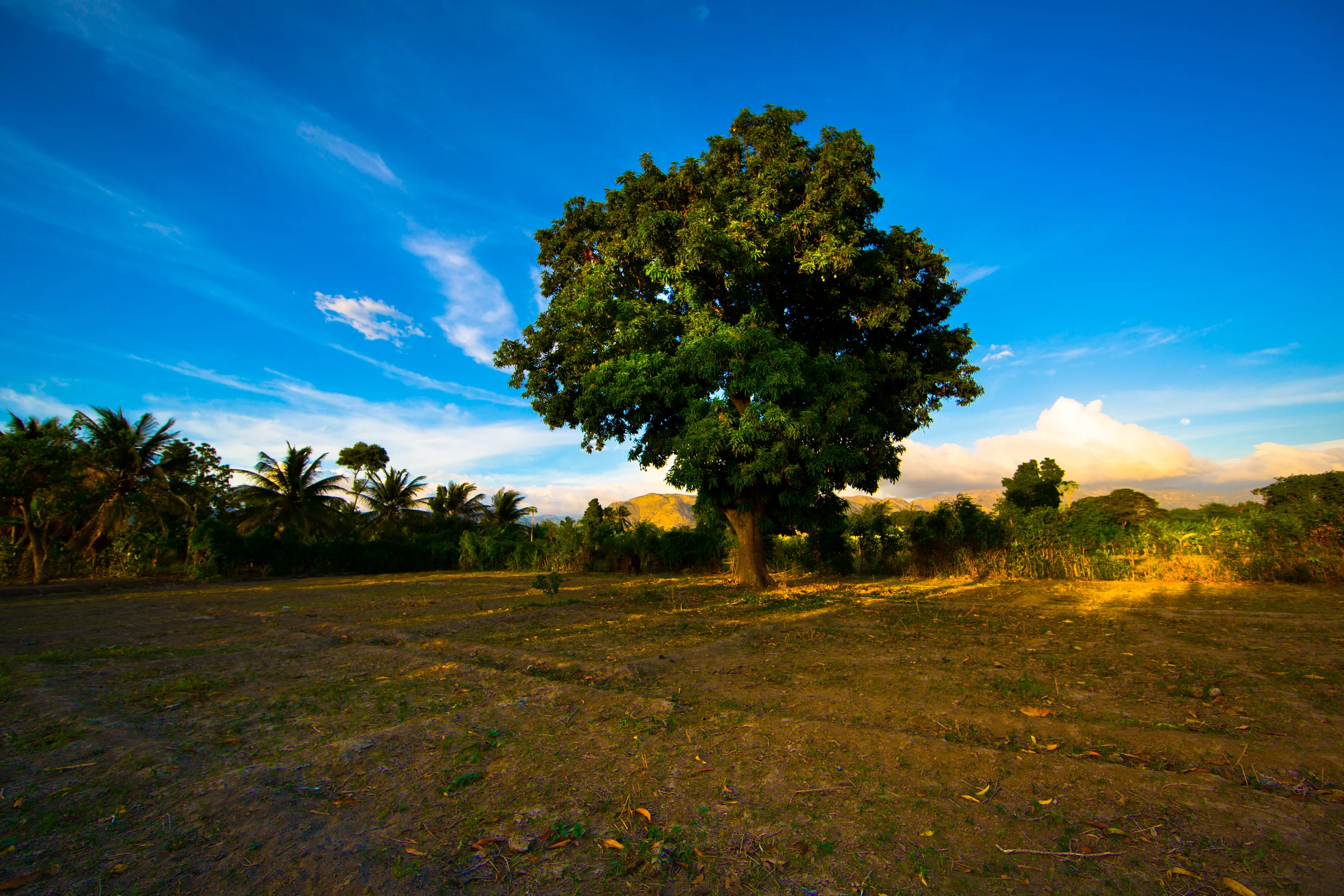 21AFCORTES_HAITI-2603.jpg