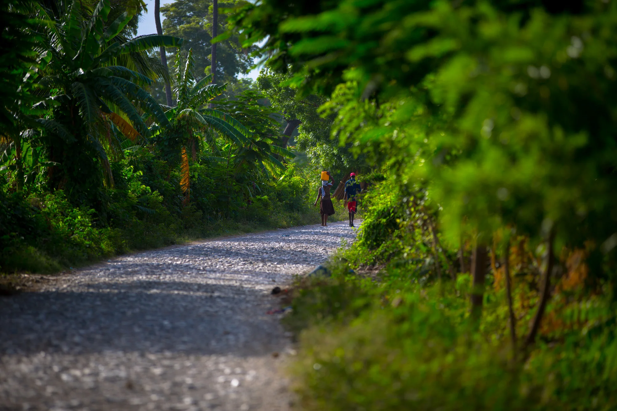 9AFCORTES_HAITI_HI-0244.jpg