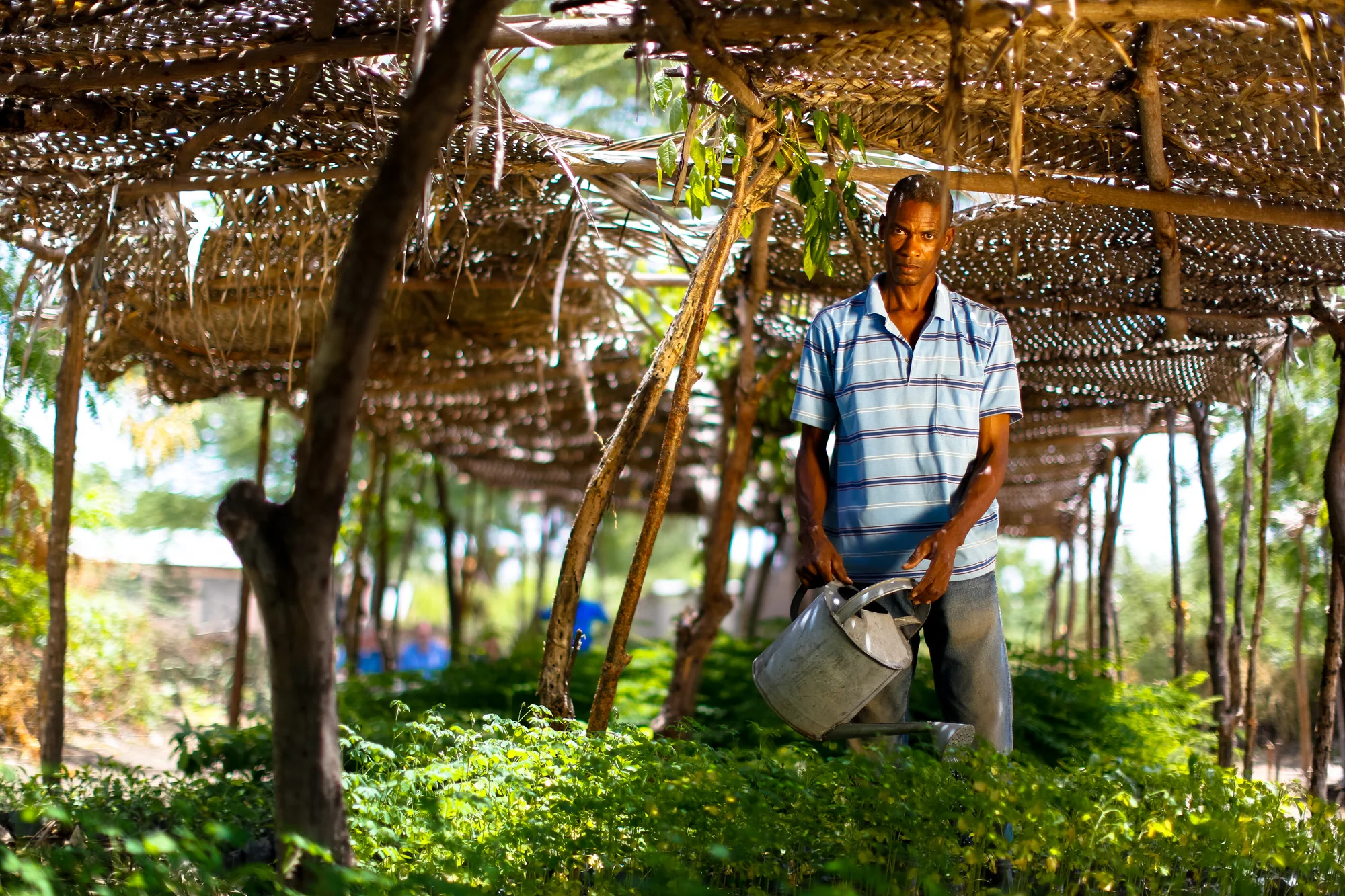 15AFCORTES_HAITI_HI-1361.jpg