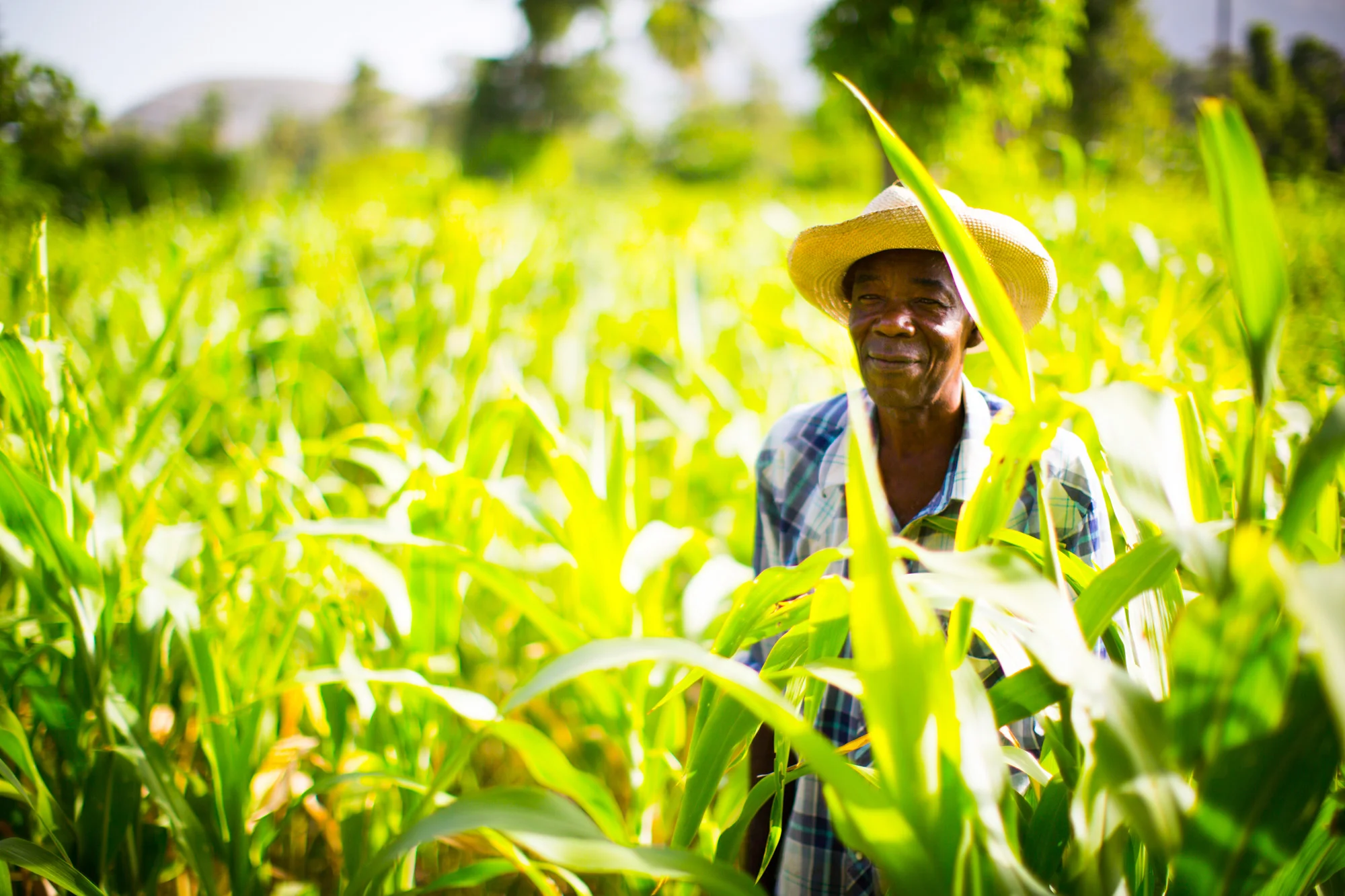 25AFCORTES_HAITI_HI-0371.jpg
