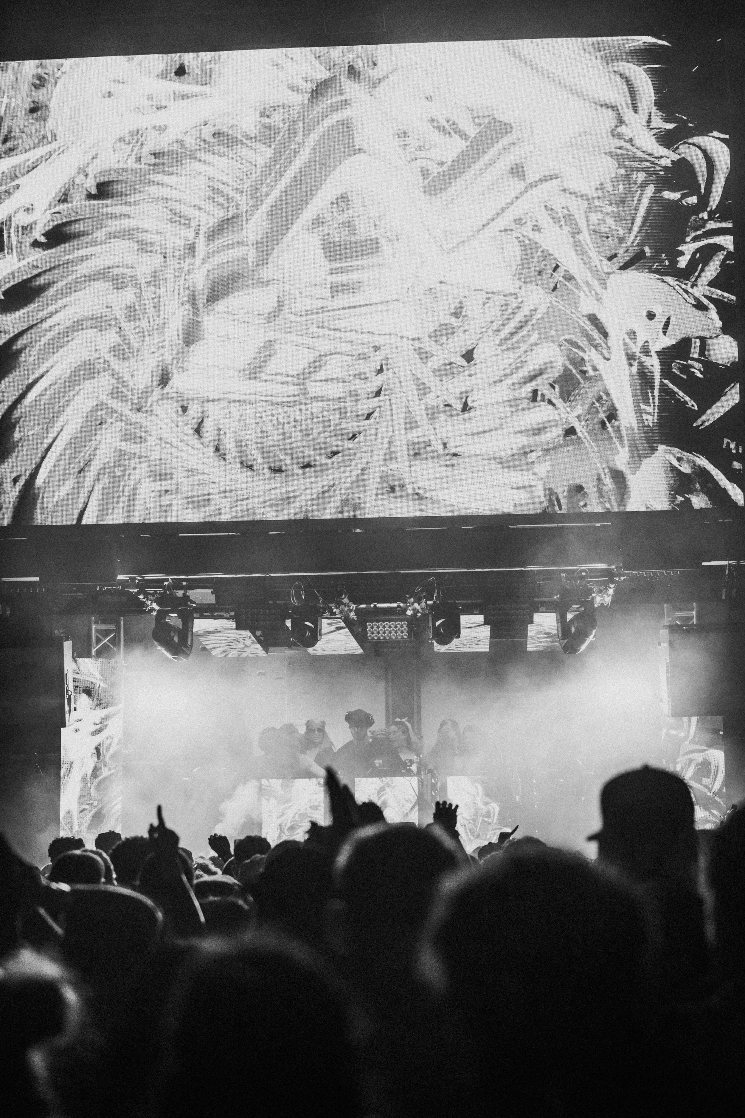 dannyteemedia-7301022.JPG