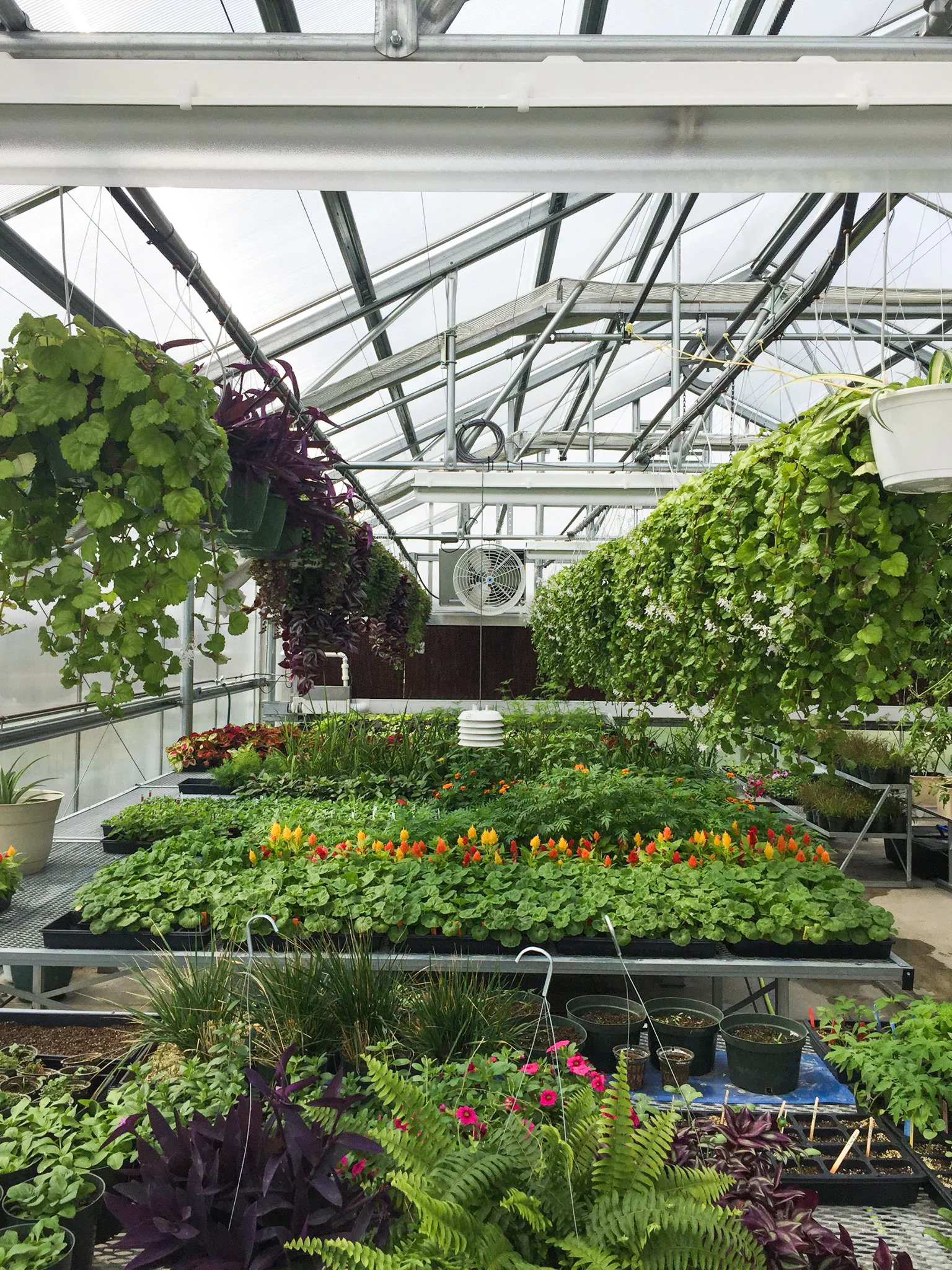 Royal Valley High School Greenhouse Client: USD 337 Royal Valley Architect: HTK Architects