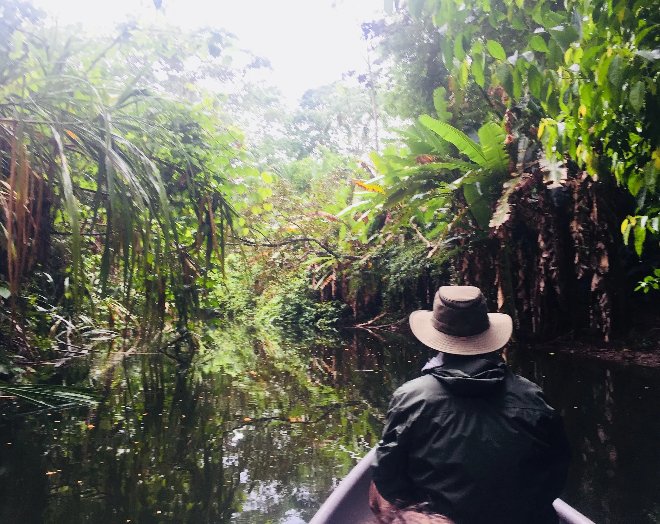 Photo: A leisurely ride down the river to start our day at the Sloth Sanctuary.