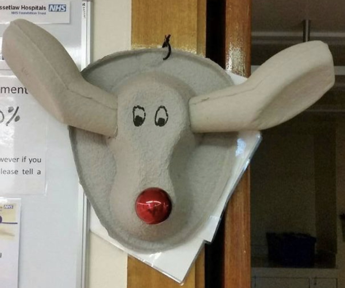 The cardboard bedpan reindeer cousin to our specimen above. #specimenjoke