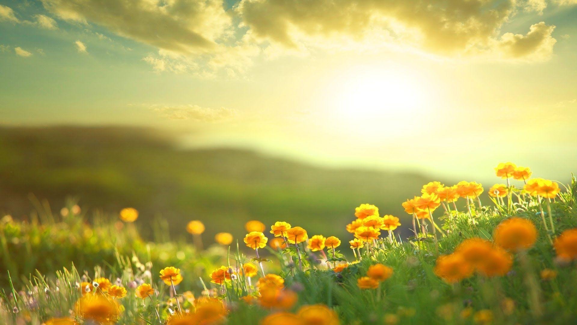 Sunrise3.jpg