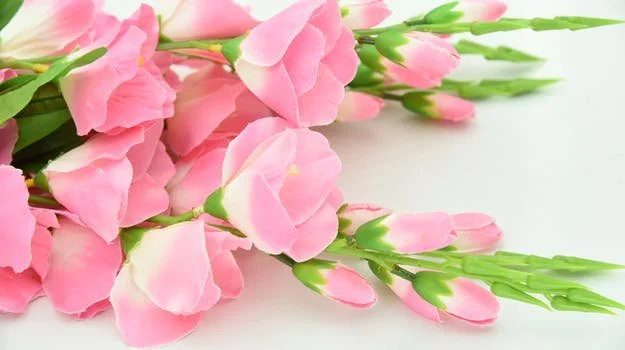 Flower1.jpg