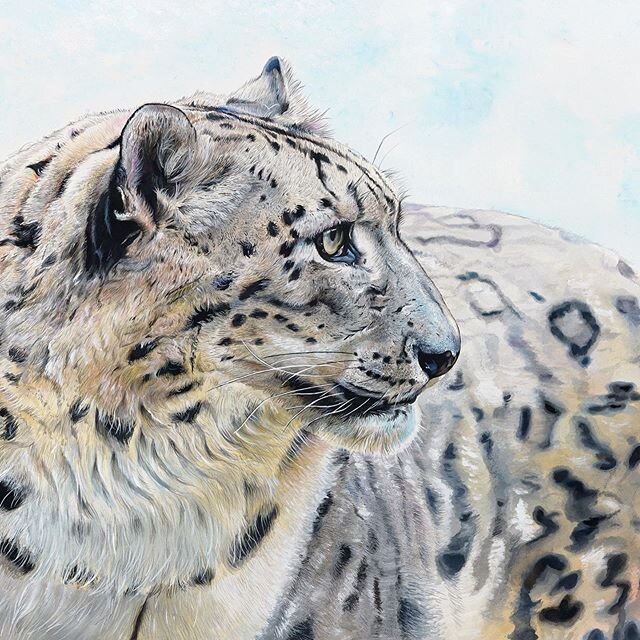 My painting &quot;Ghost&quot;, a 16 x 20 watercolor, has been selected by the jury for inclusion in the Artists for Conservation 2020 LIVE EXHIBIT, which will premier at the Artists for Conservation Festival at VanDusen Botanical Gardens in Vancouver