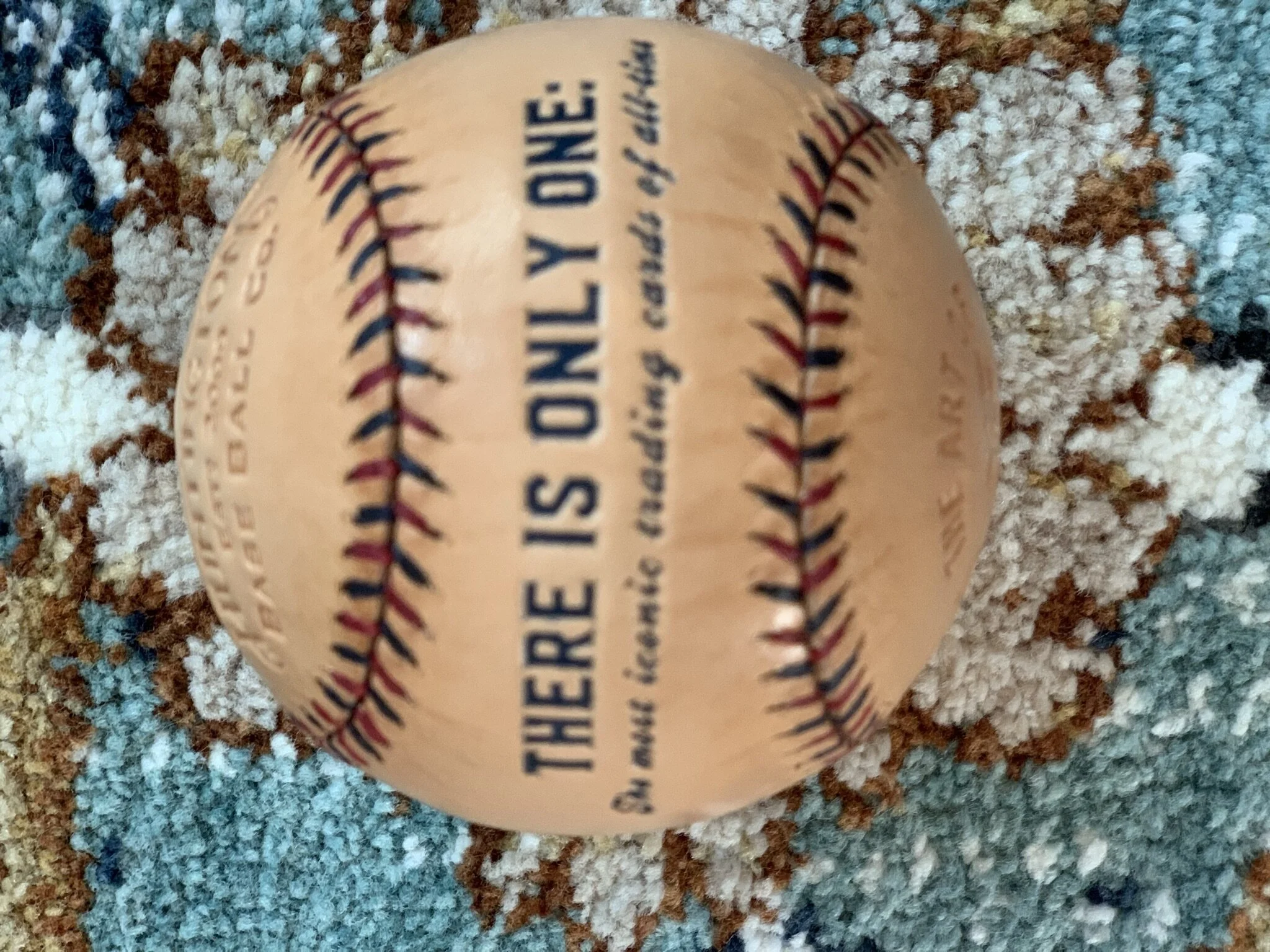 IMG_1001 - Copy.JPEG