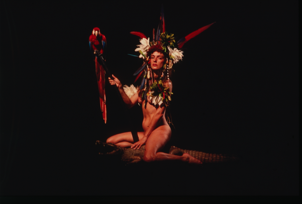 Diego Rísquez, Orinoko, nuevo mundo , 1984.