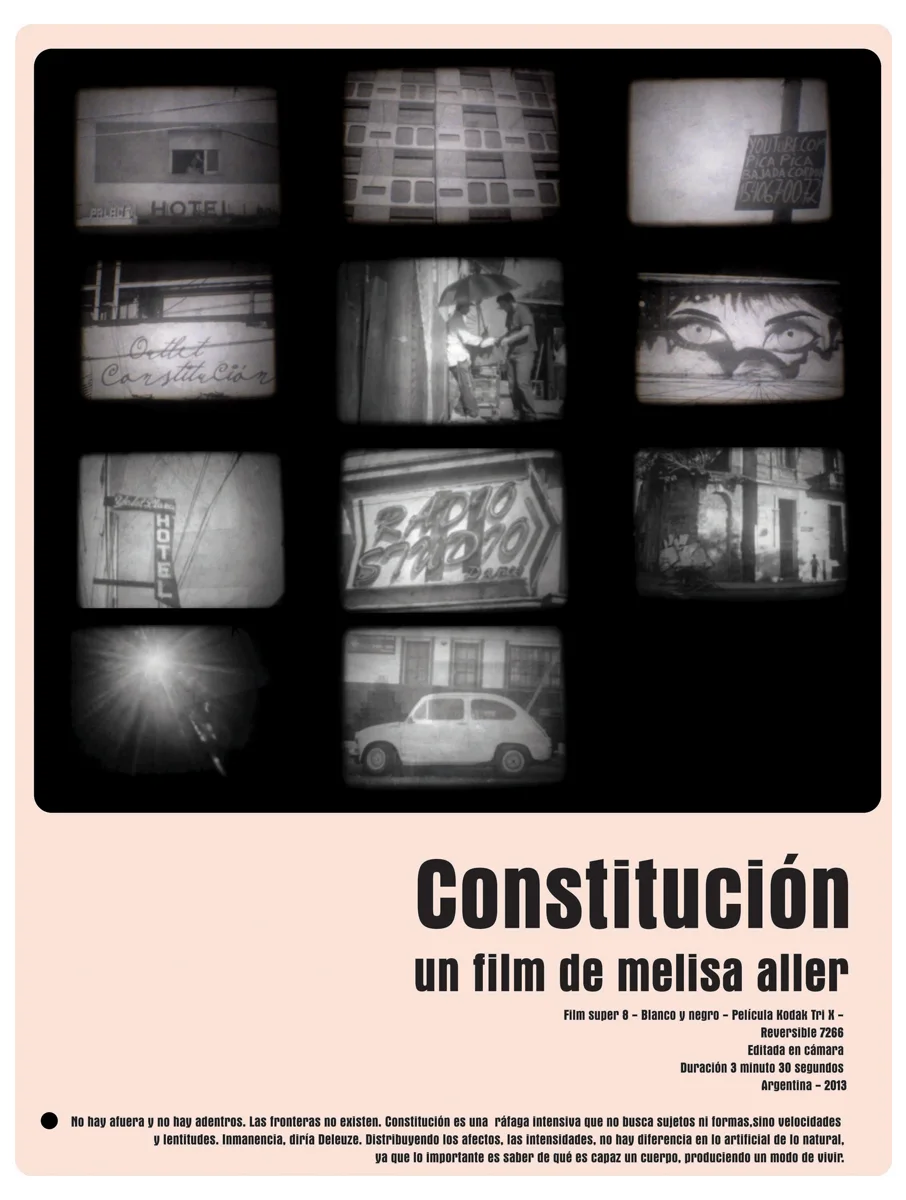 Poster for Constitución, Melisa Aller, 2013.