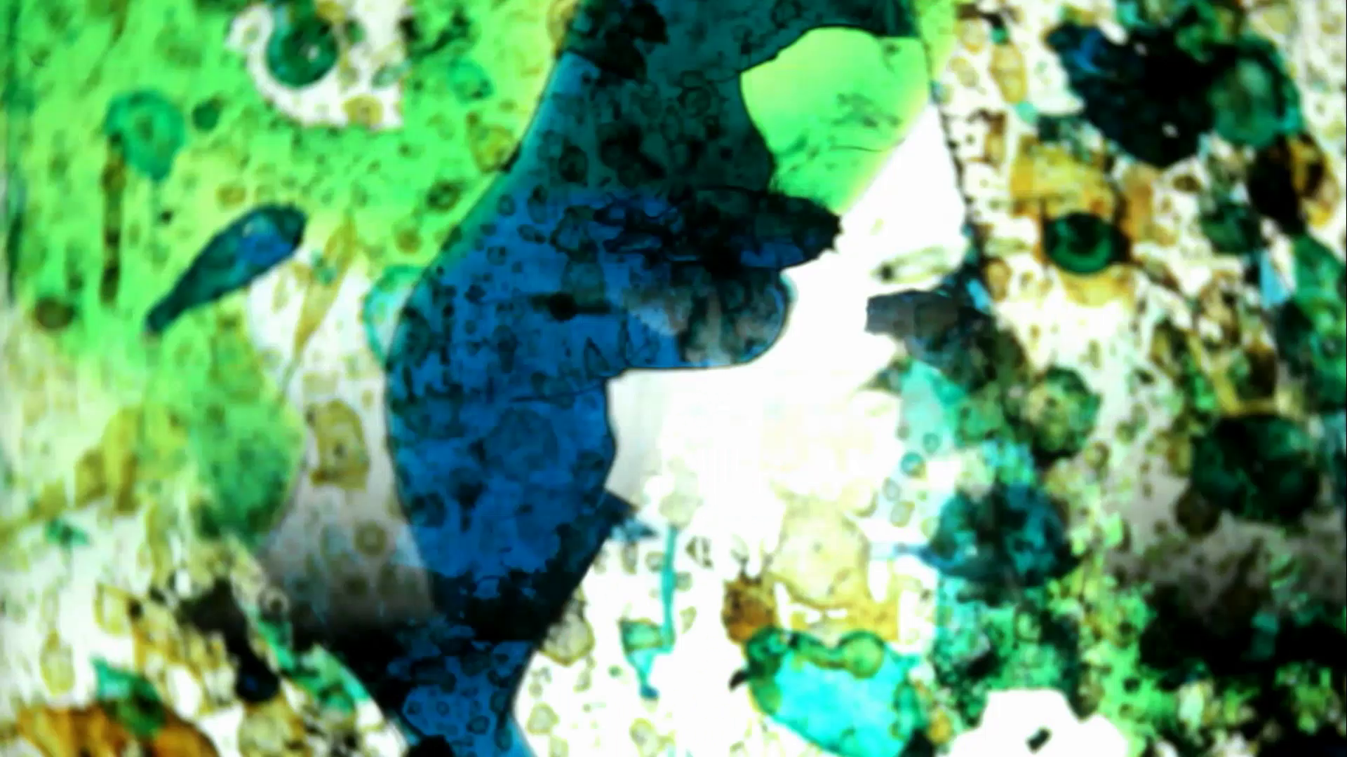 Still from Abismo , Sebastian Wiedemann, (2012).