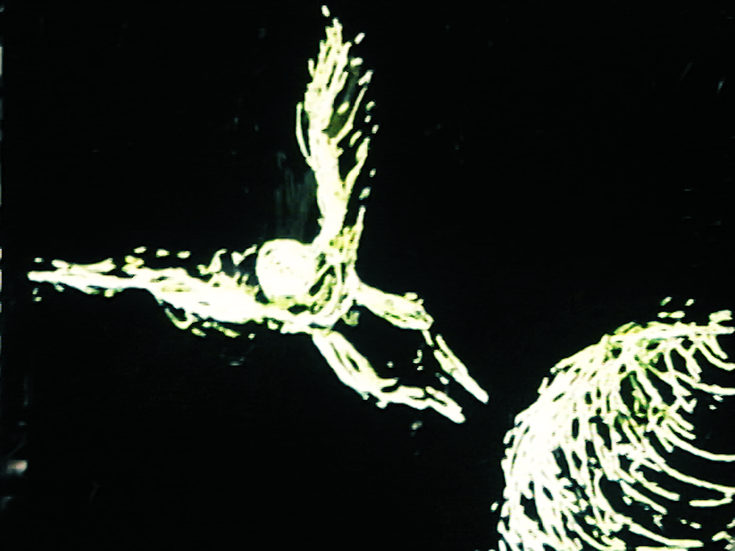 Still from Morfos , Pilar Forero (2006).