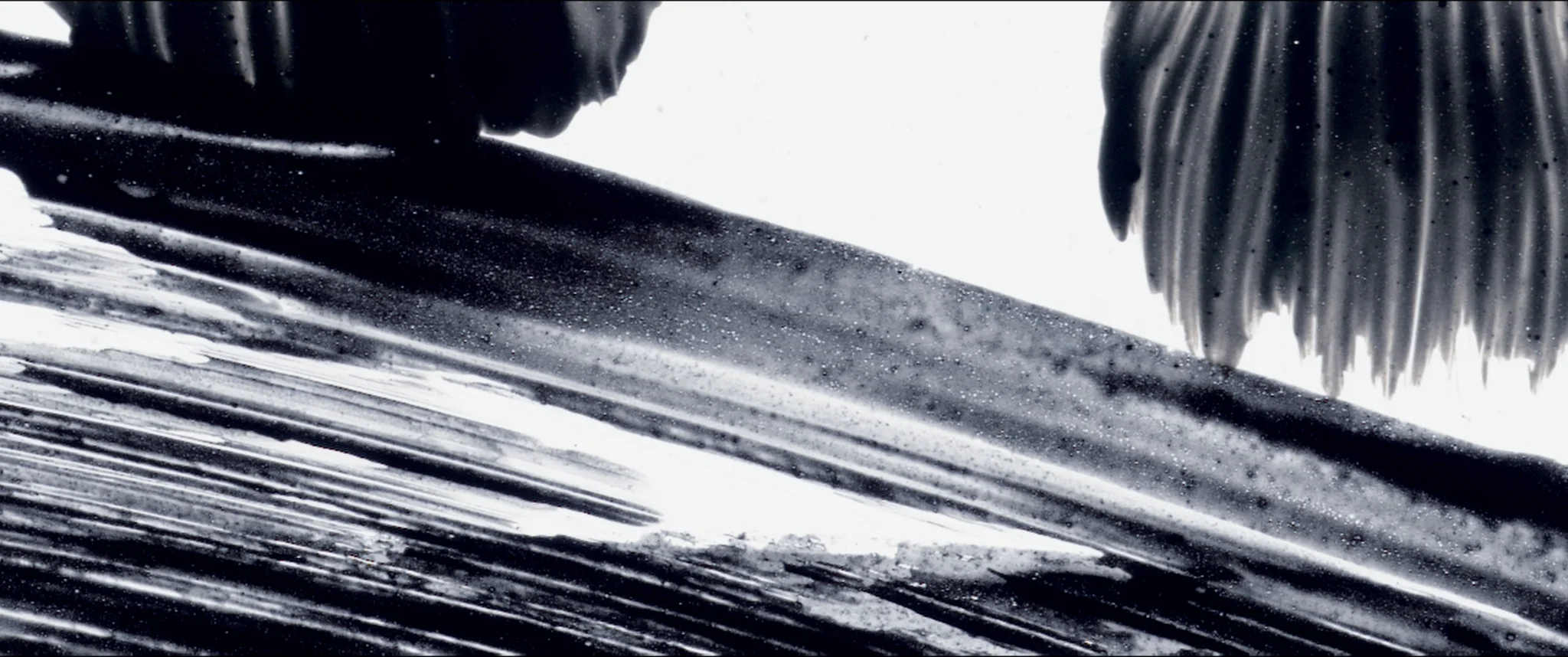 Still from Dejar , Caitlin Díaz (2015).