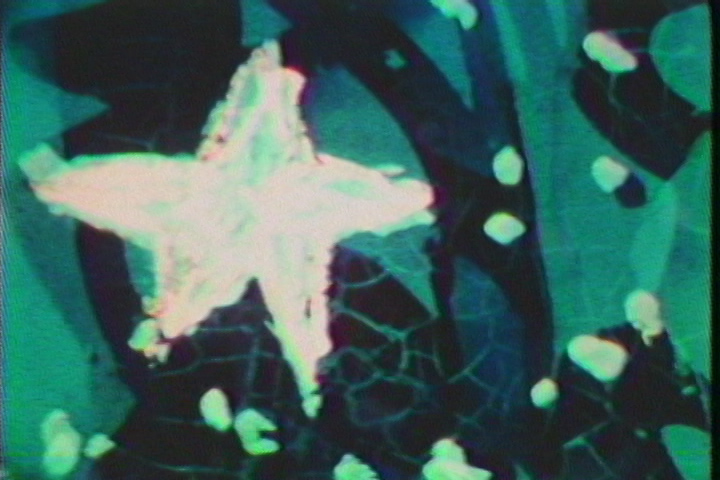 Still from Blues Tropical & Paisaje, Poli Marichal (1982-1985). 