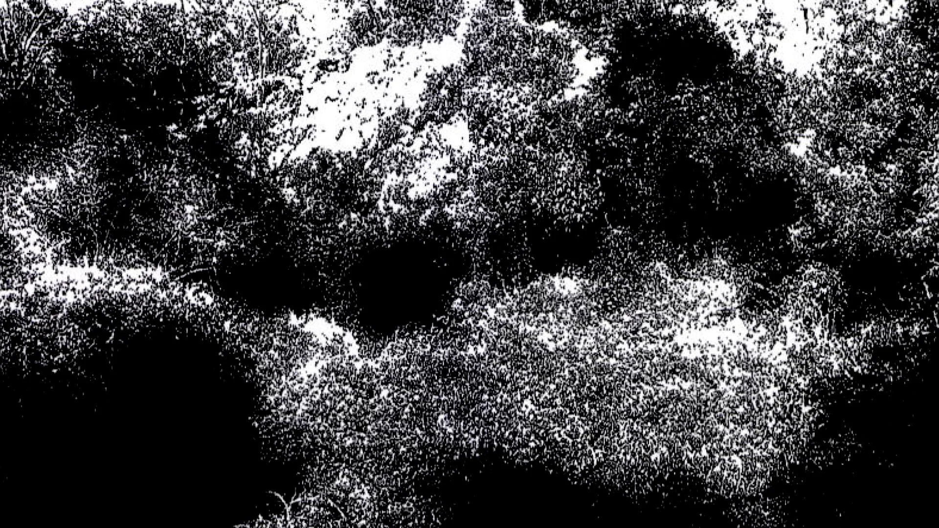 Still from Materia Oscura (2016).