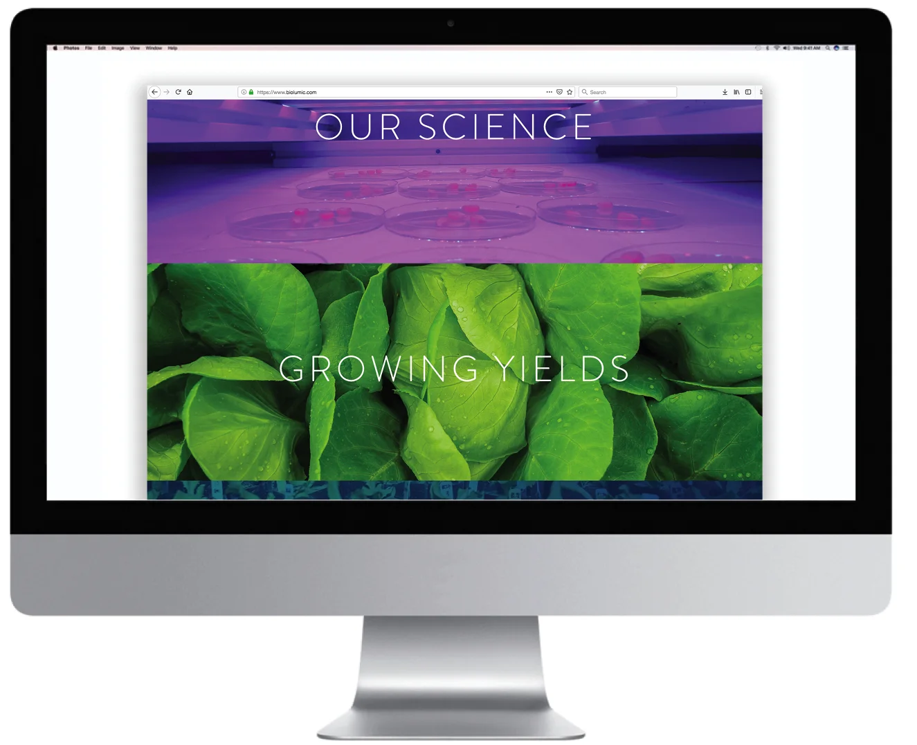 B home page 2 WEB.jpg