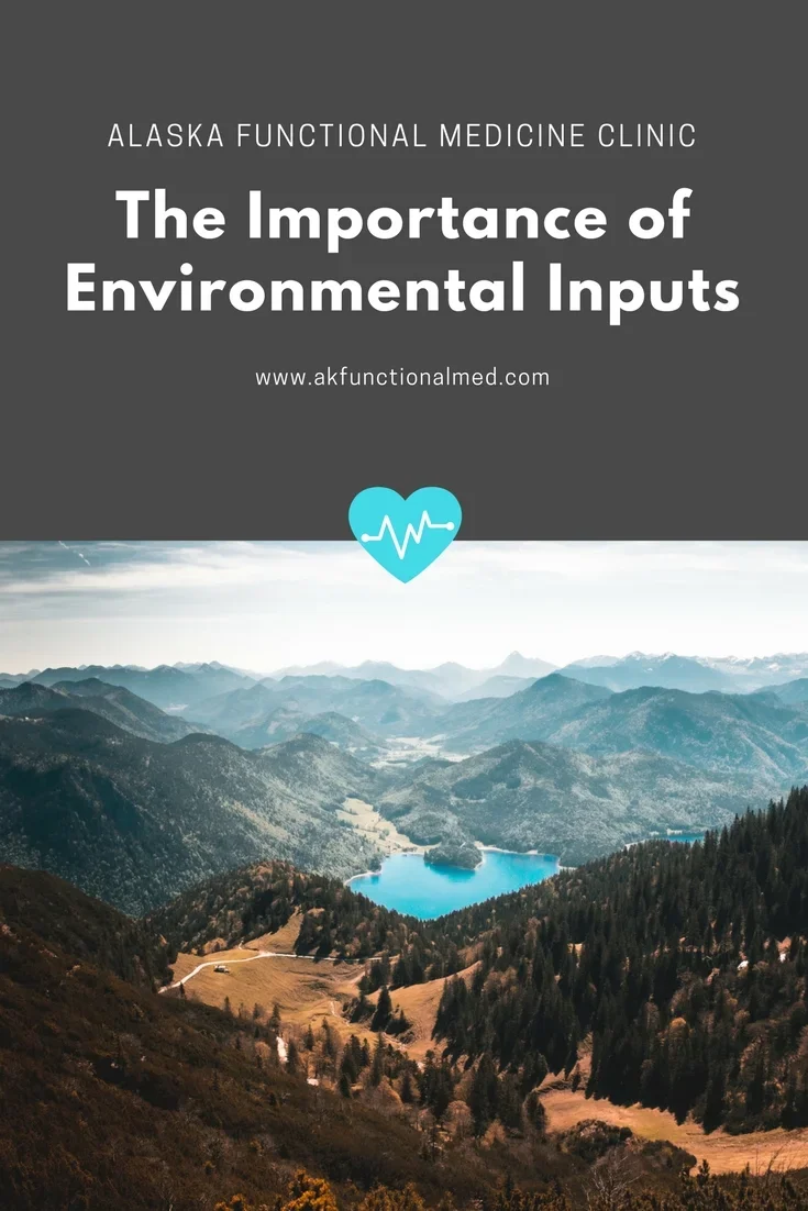 The Importance of Environmental Inputs