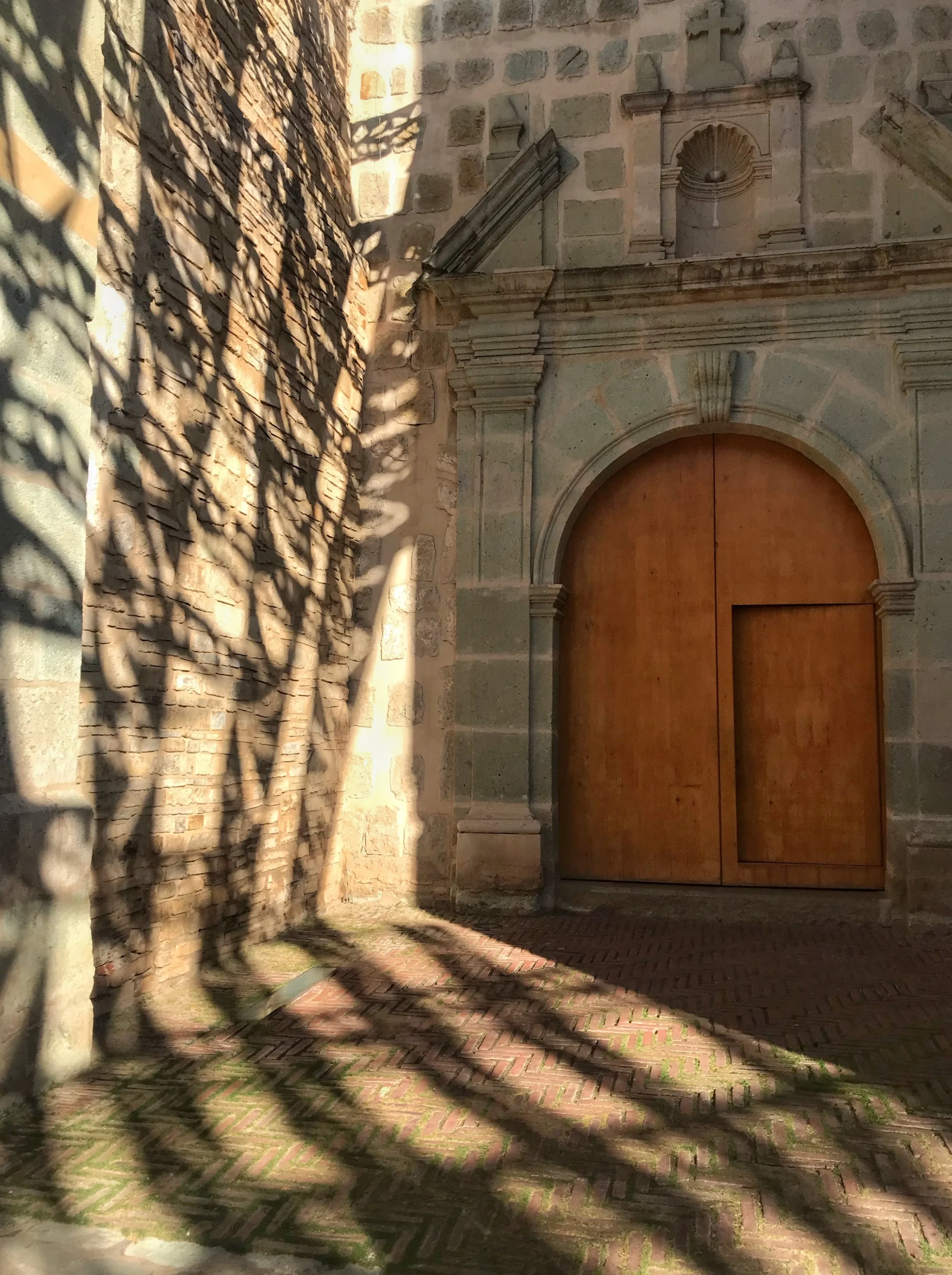 IMG_6589.jpeg