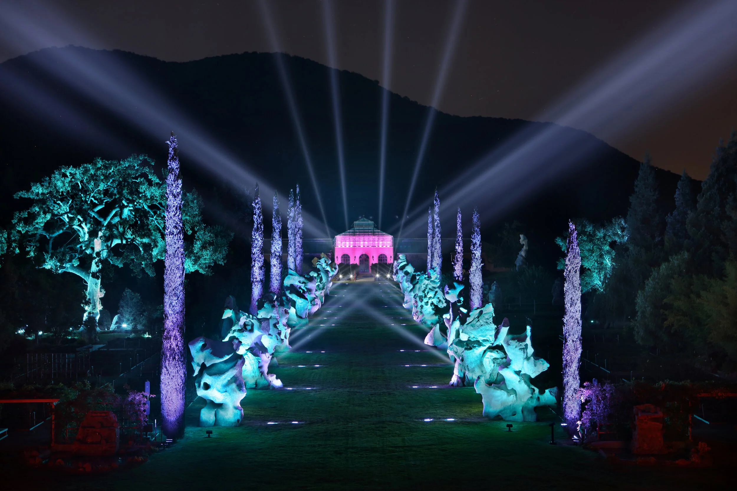Dancing with Light