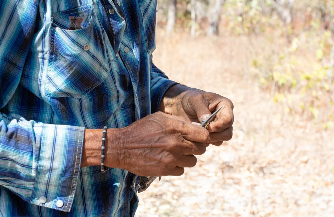 This time last year I was learning much about #Olkola Country on Cape York. A landscape made up of golden, grassy savannas and millions of termite mounds, some of which are home to the endangered Alwal (Golden-Shouldered Parrot). It&rsquo;s spotted w