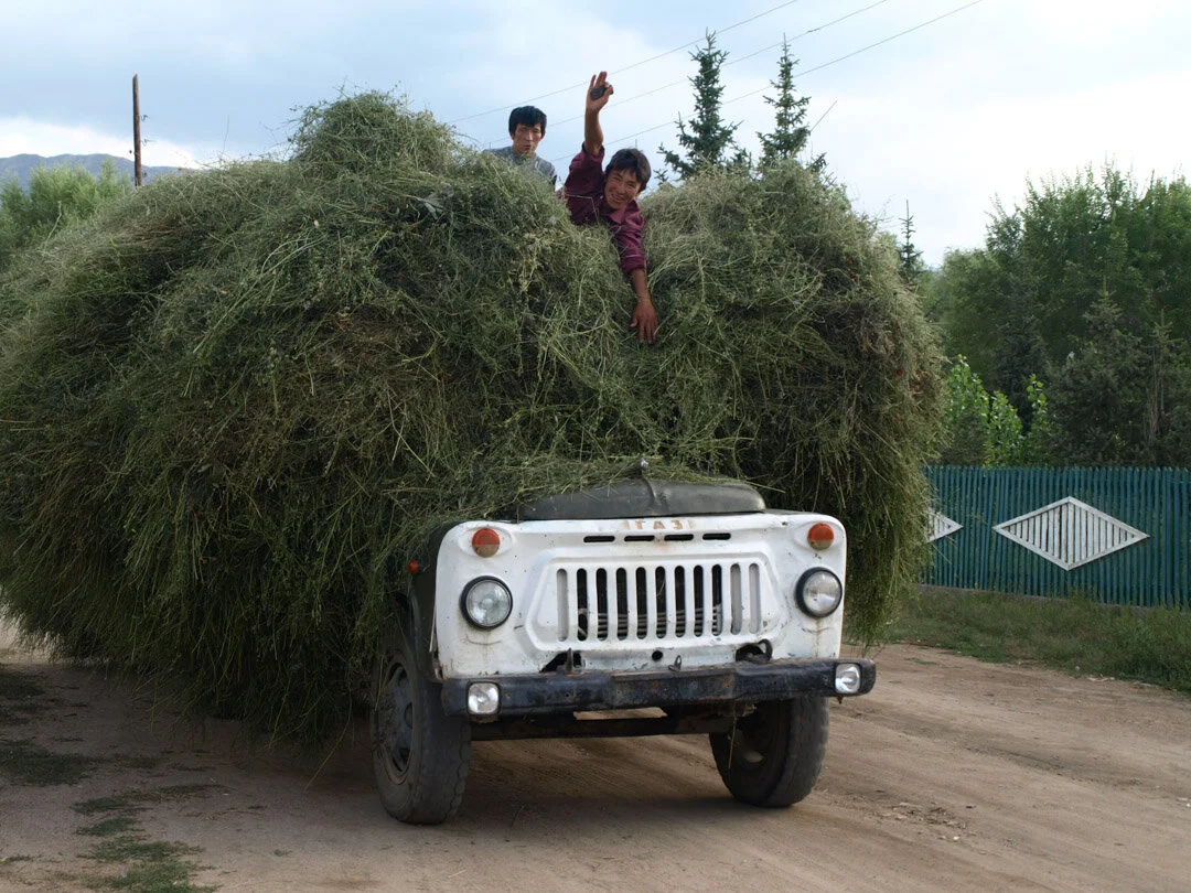 A random scene from #Kyrgyzstan. Bringing home the hay near Lake Issy-kul.