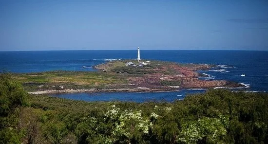 Do you have a lighthouse for your organisation?