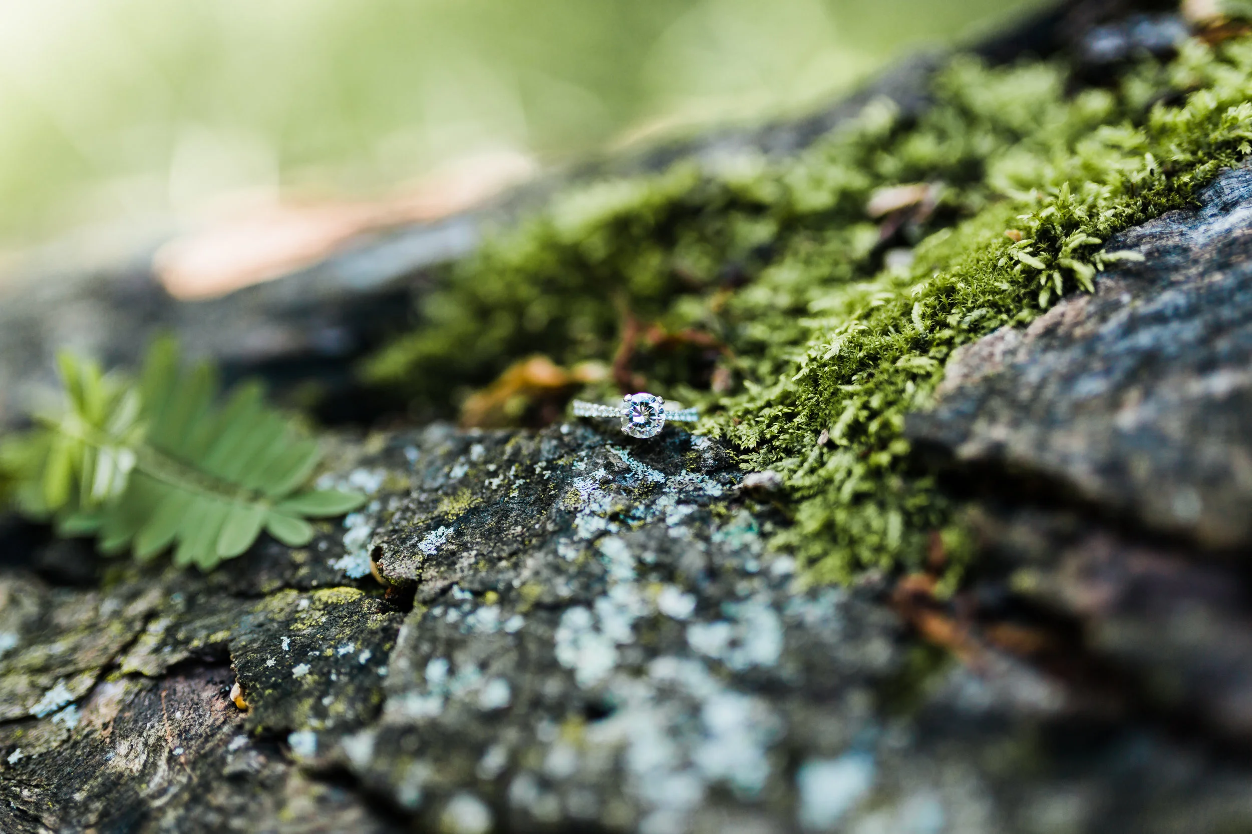 engagement ring photography - md engagement session - nature